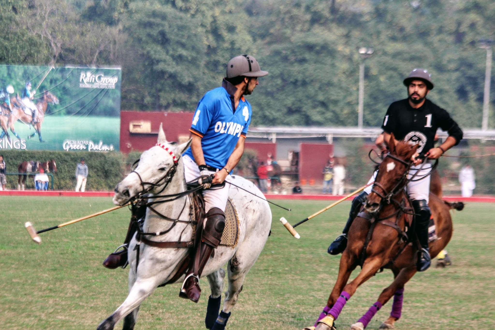 Canon EOS 650D (EOS Rebel T4i / EOS Kiss X6i) sample photo. Polo photography