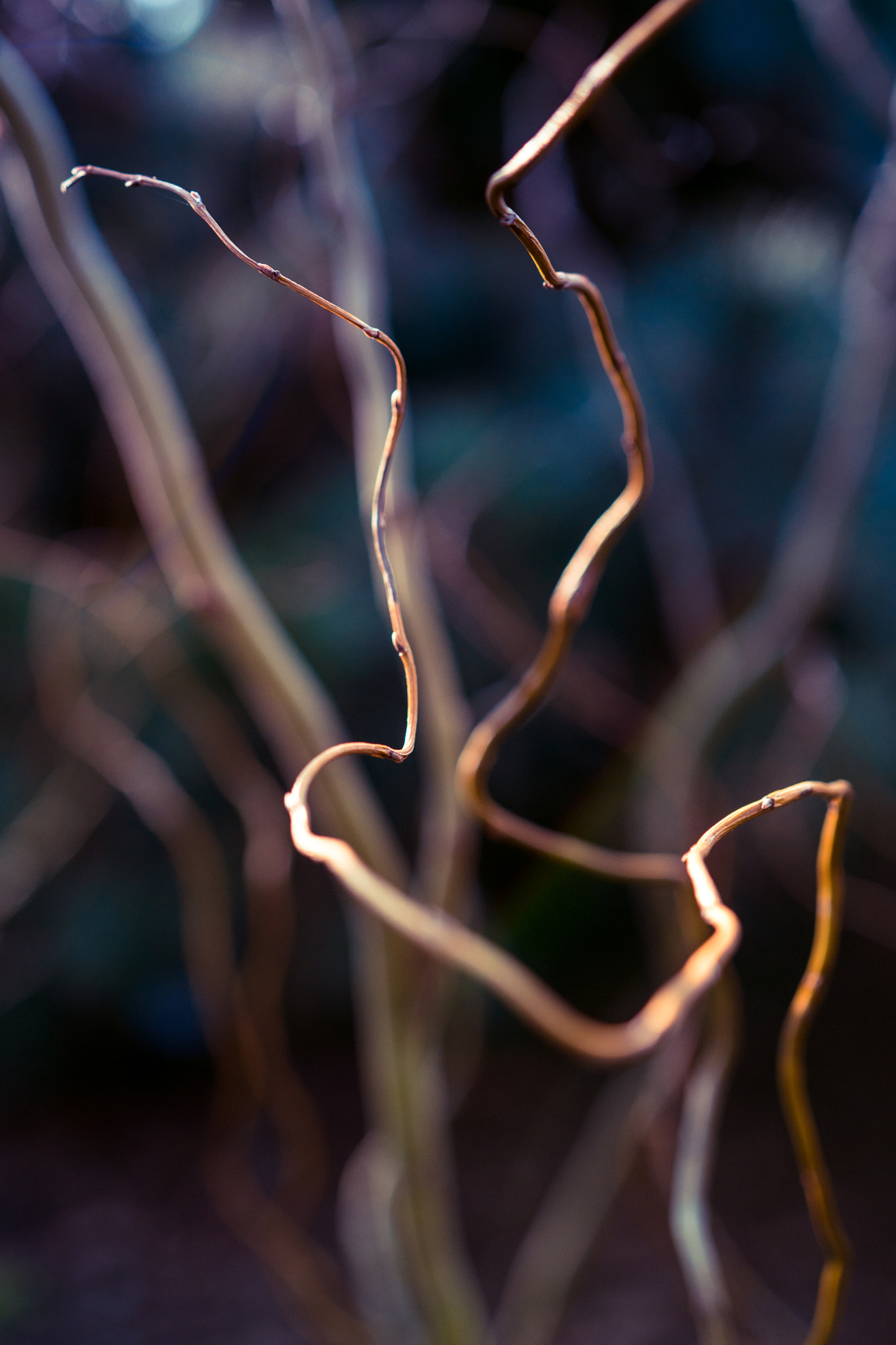 Sony a6300 + 18-35mm F1.8 DC HSM | Art 013 sample photo. Like lightning photography