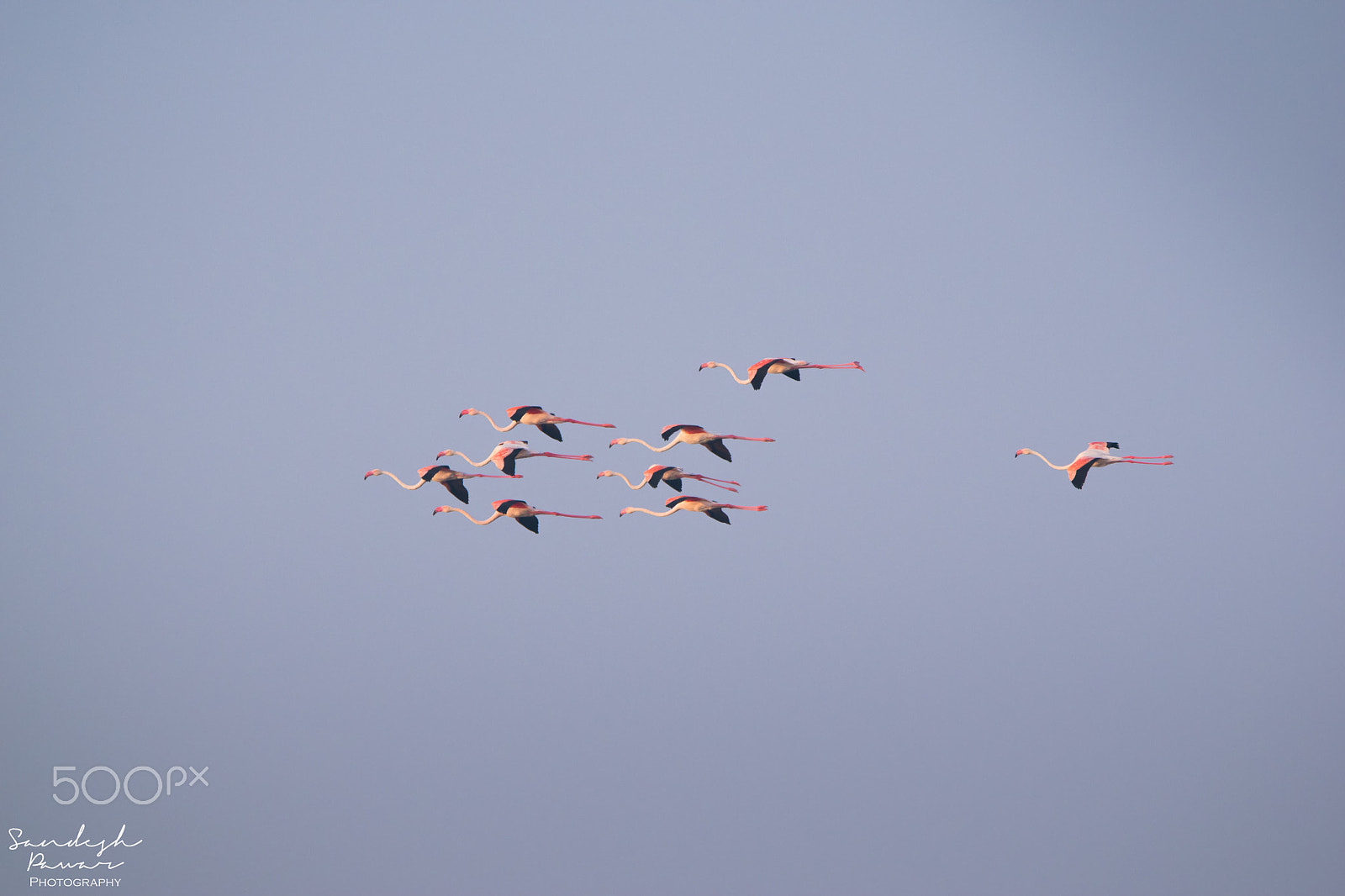 Nikon D5500 sample photo. Select photography
