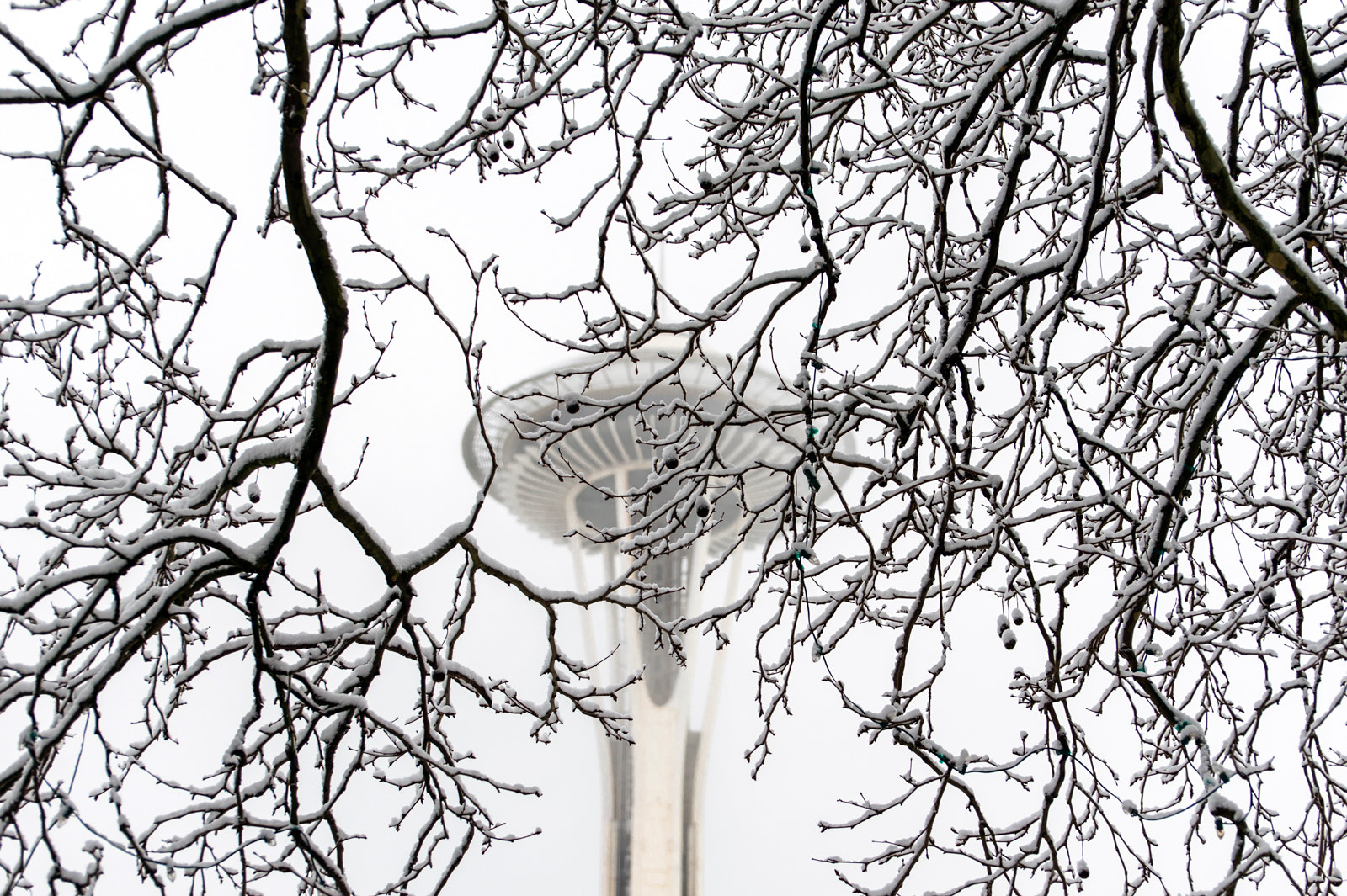 Nikon D800 sample photo. Rare snowstorm in seattle photography
