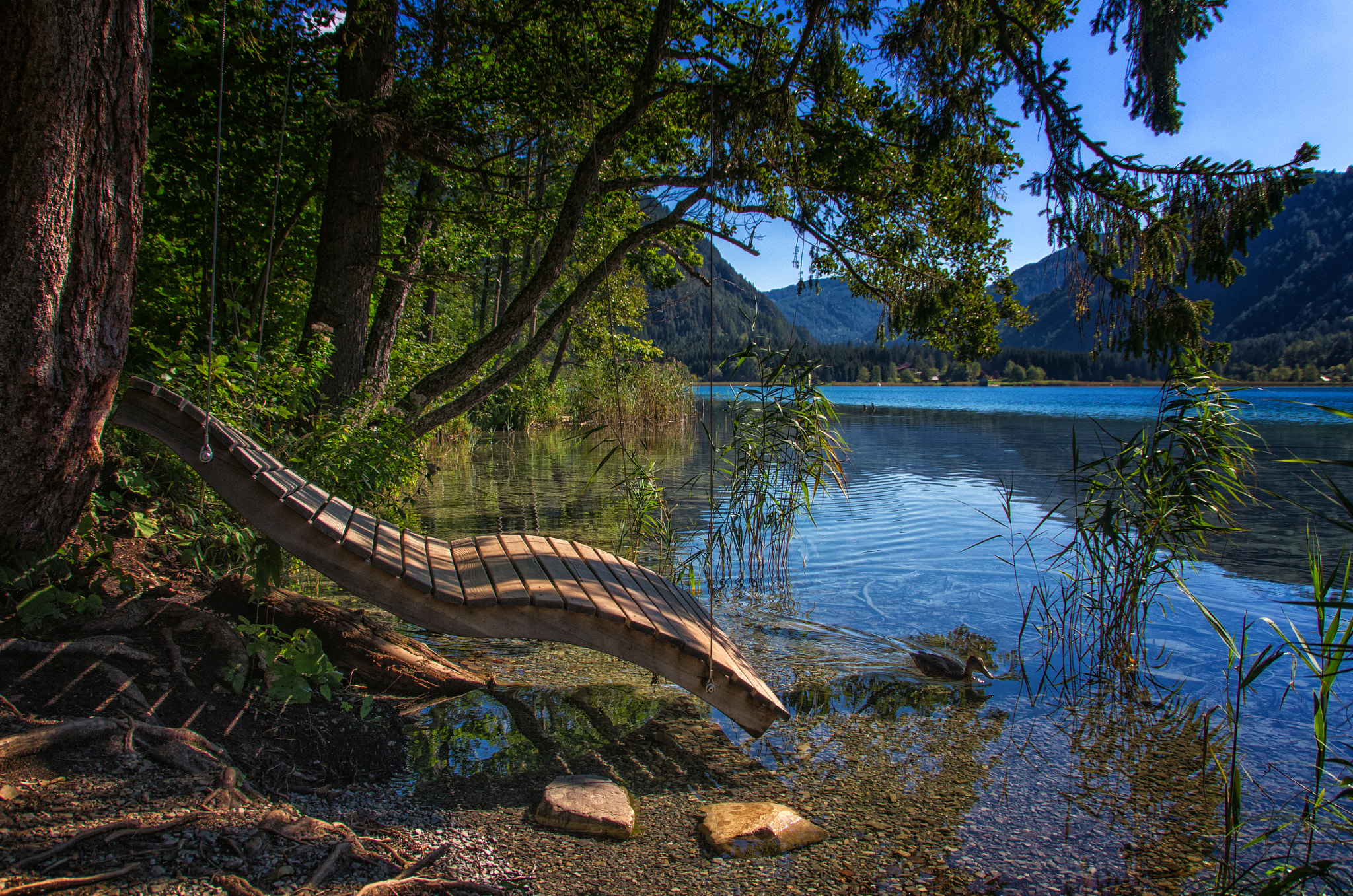 Sigma 18-250mm F3.5-6.3 DC OS HSM sample photo. Time to relax photography