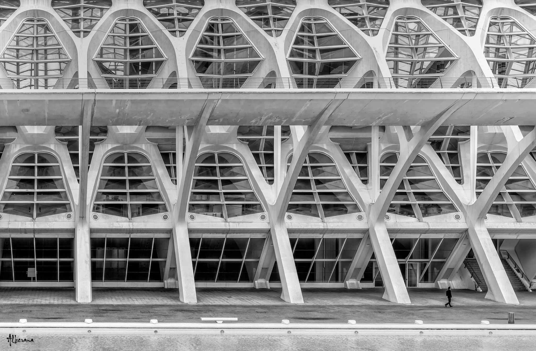 Pentax K-3 sample photo. Only in the cac photography
