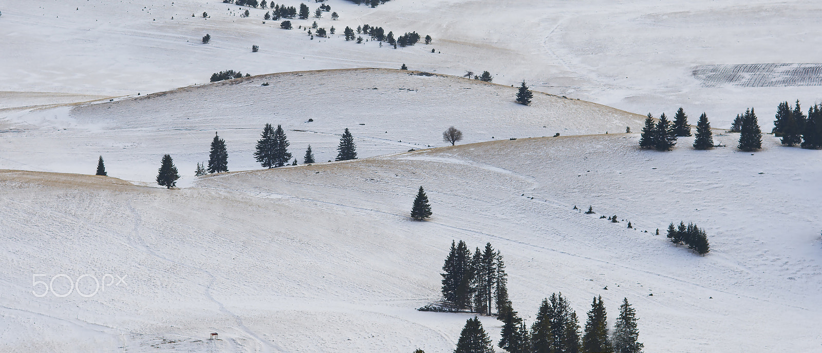 Nikon D7100 + Nikon AF Nikkor 85mm F1.8D sample photo. Snow fields photography