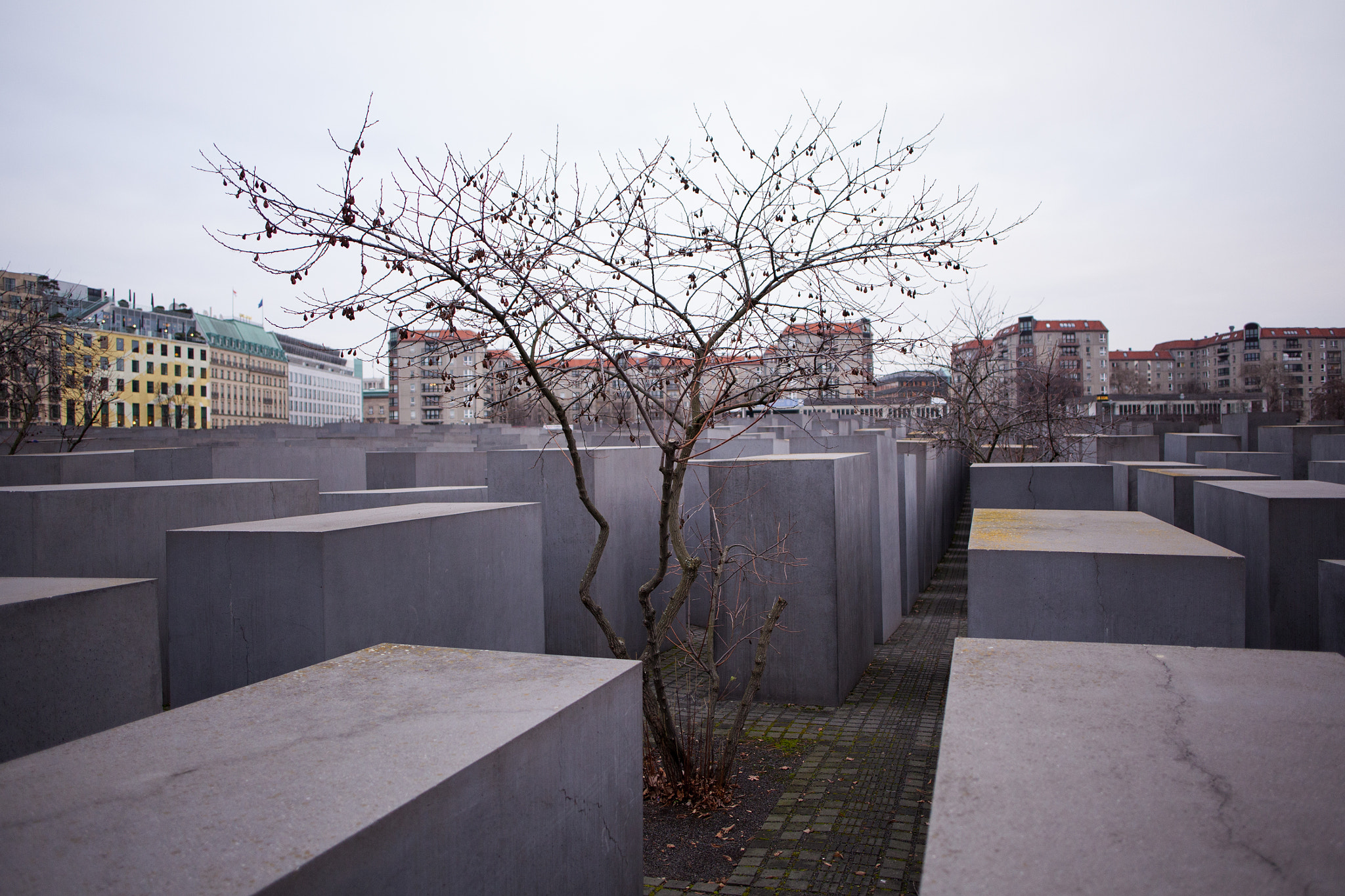 Canon EOS 5D Mark II + Canon EF 24mm F2.8 IS USM sample photo. Memorial to the murdered jews of europe photography