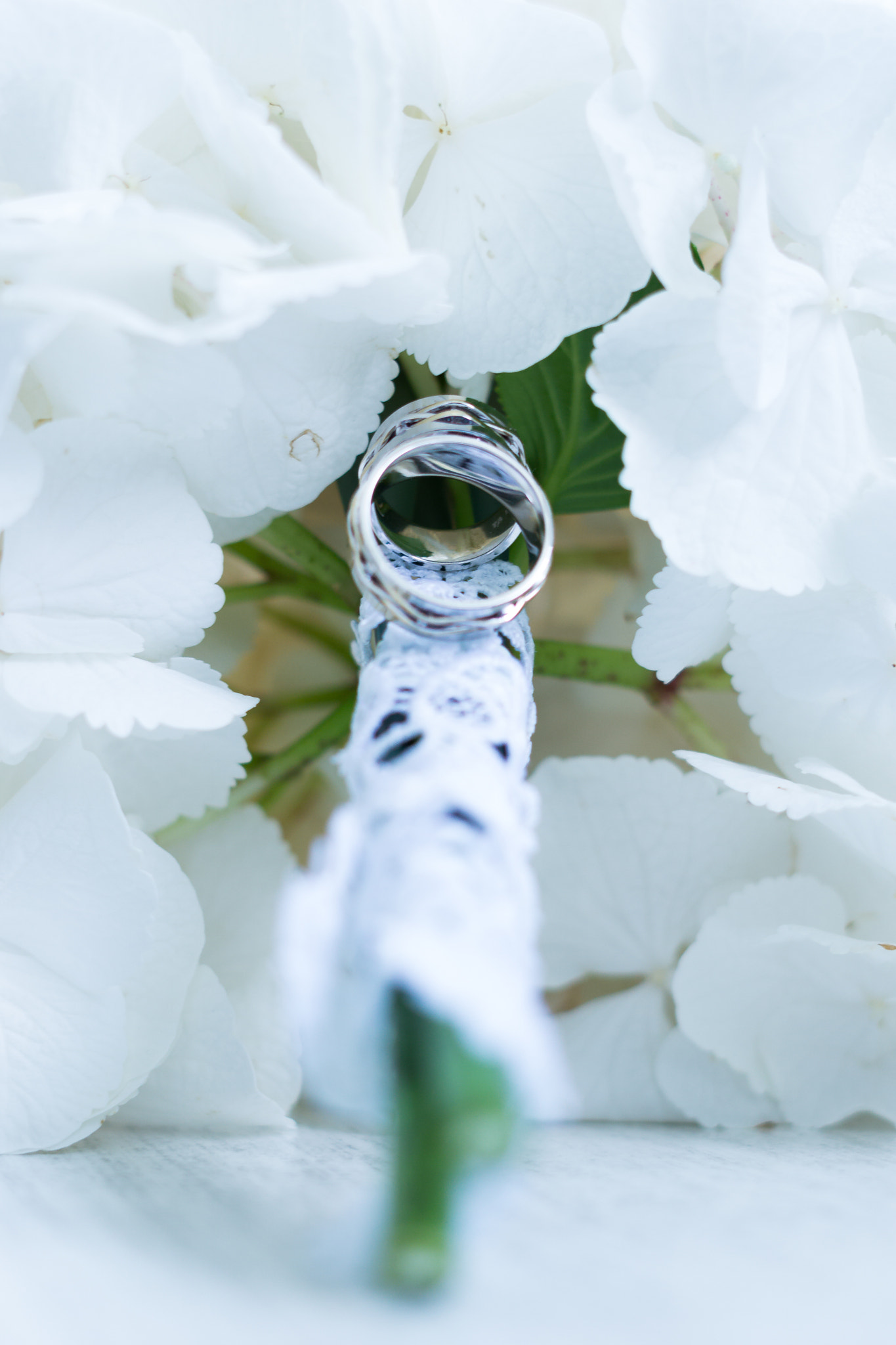 Sony FE 50mm F1.8 sample photo. Wedding rings photography