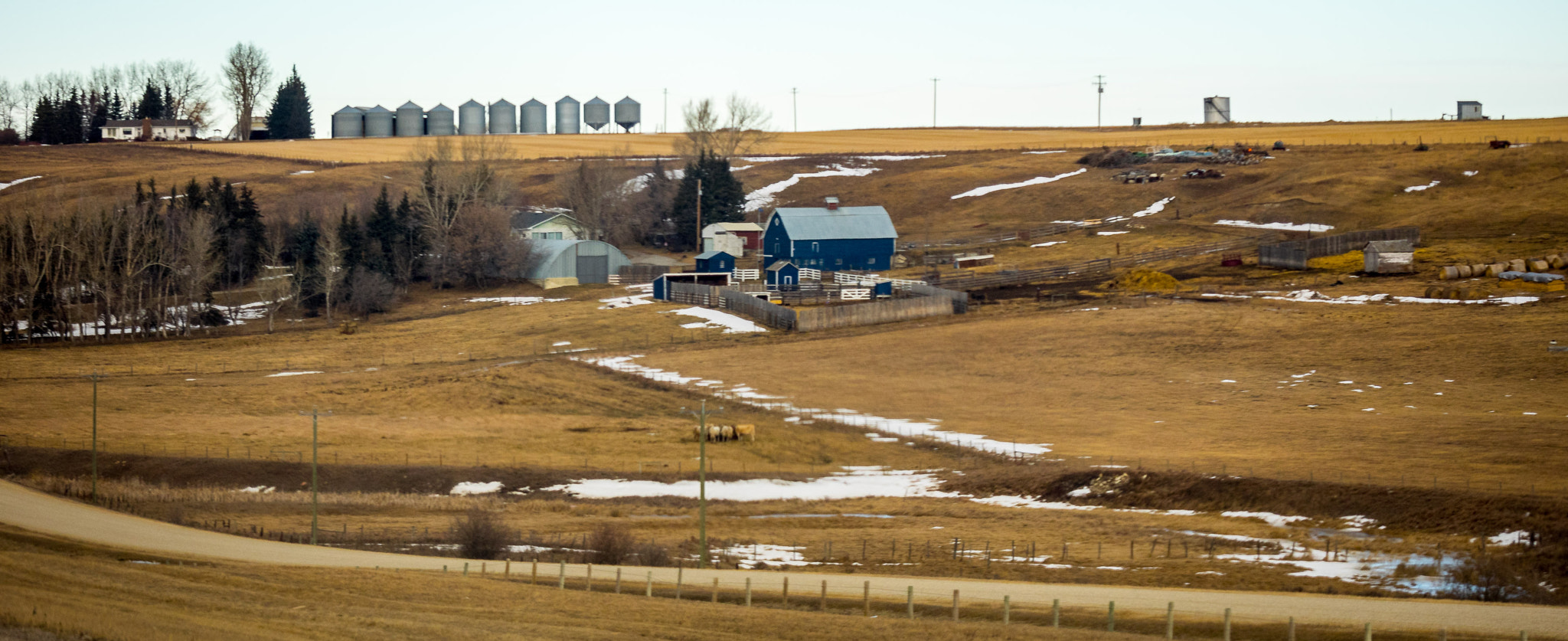 Panasonic Lumix G X Vario 35-100mm F2.8 OIS sample photo. Day 30: down on the farm photography
