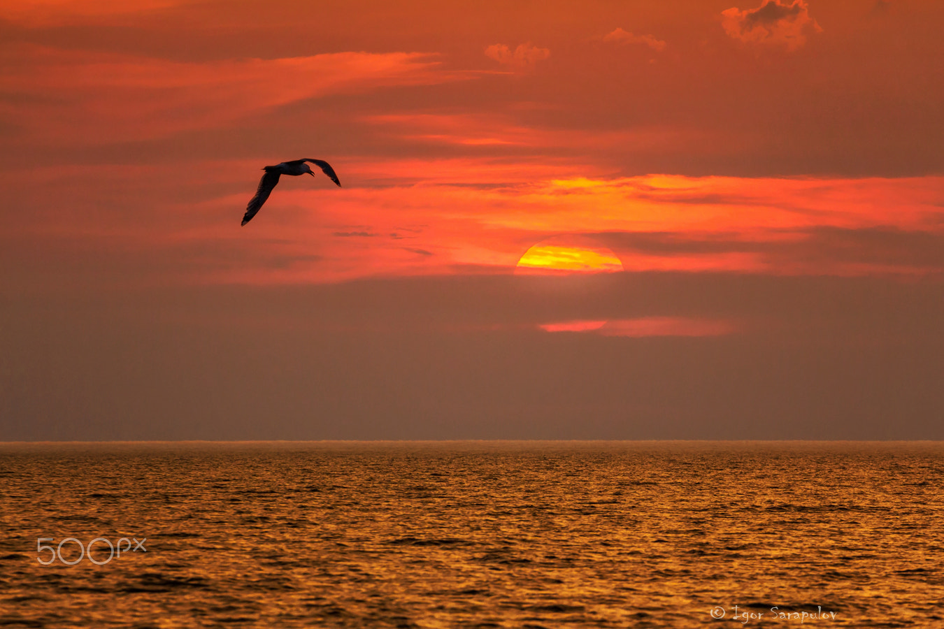 Canon EF 70-300mm F4-5.6L IS USM sample photo. Evening on the azov sea photography
