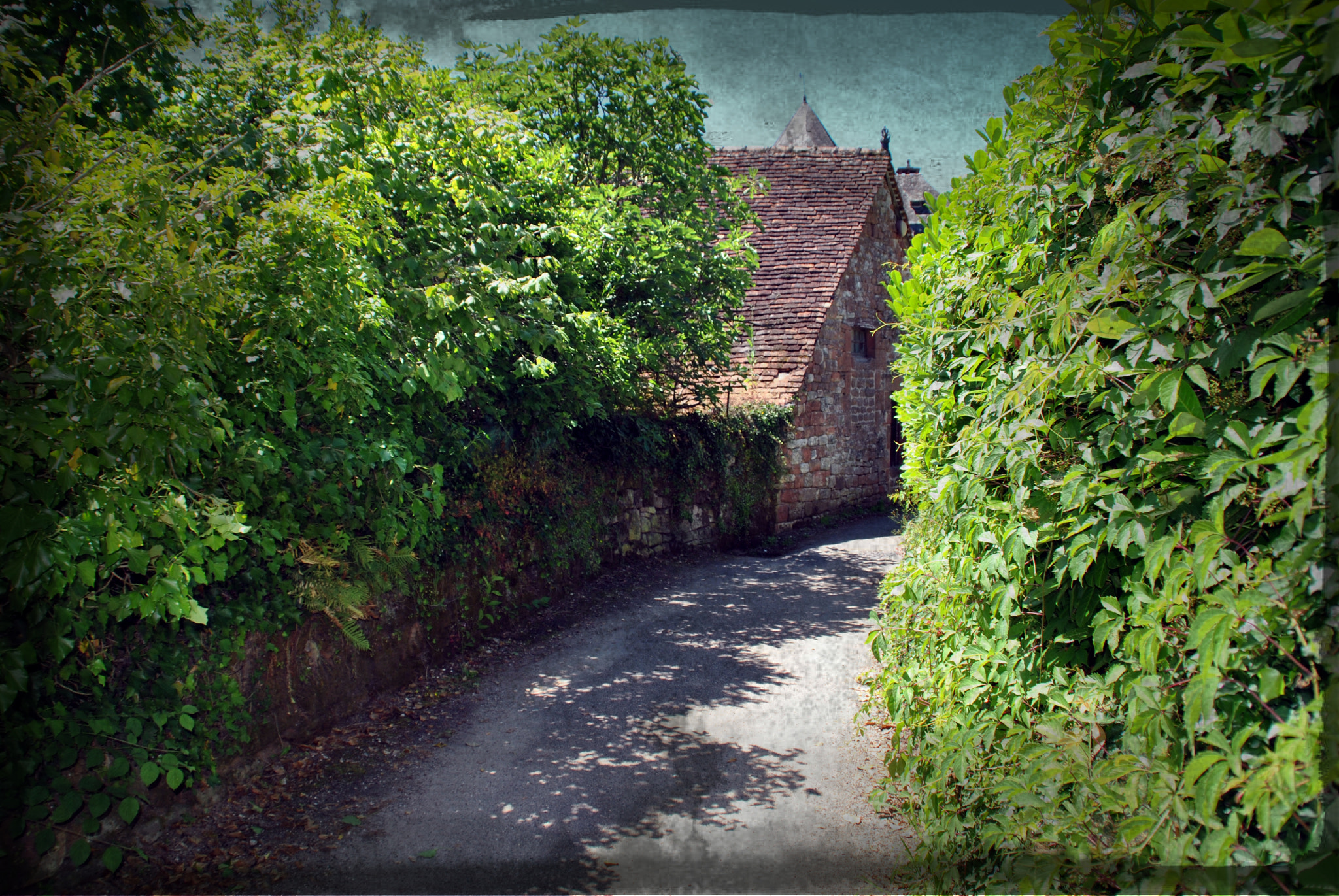 Nikon D3000 sample photo. Collonges la rouge photography