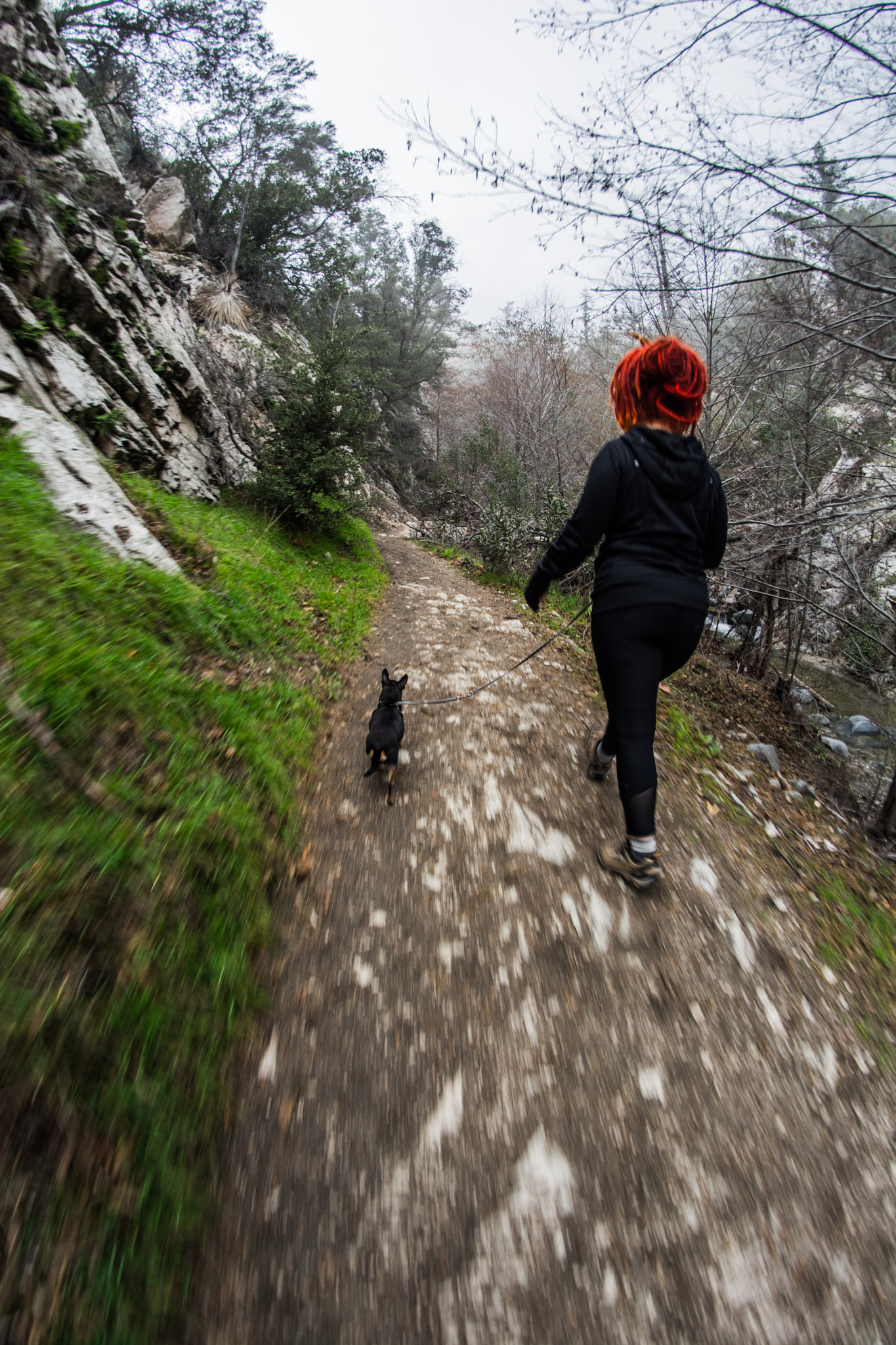 Samyang 8mm F3.5 Aspherical IF MC Fisheye sample photo. Switzer falls photography