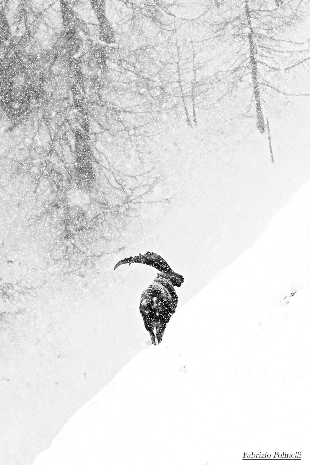 Canon EF 70-200mm F2.8L IS II USM sample photo. In the storm photography