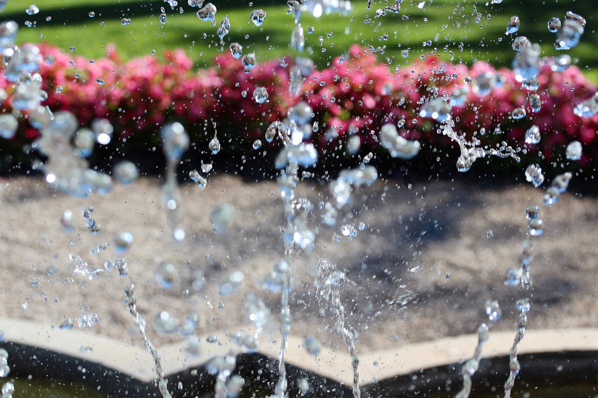 Canon EF-S 60mm F2.8 Macro USM sample photo