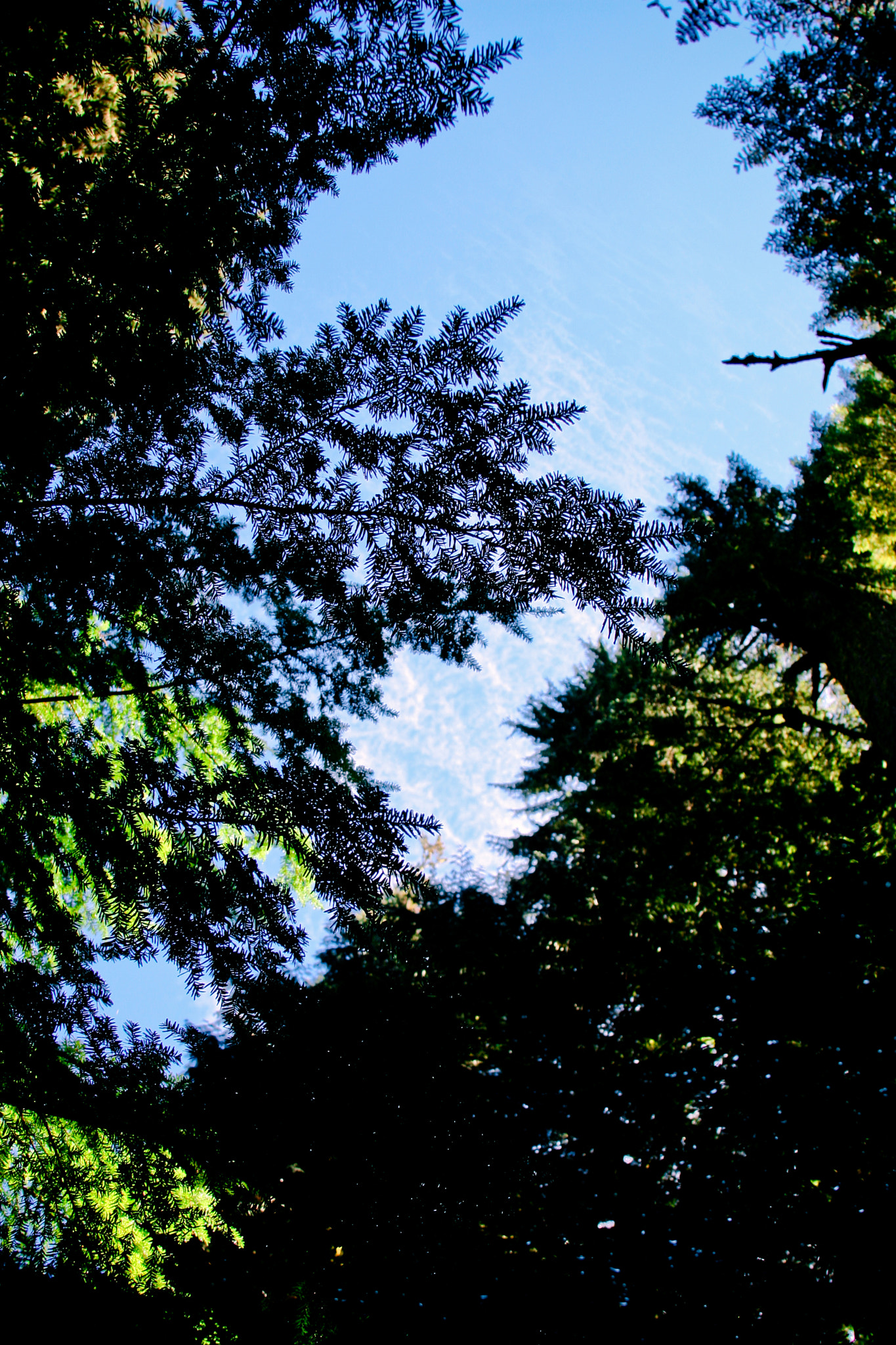Canon EF 28-135mm F3.5-5.6 IS USM sample photo. Awakening photography