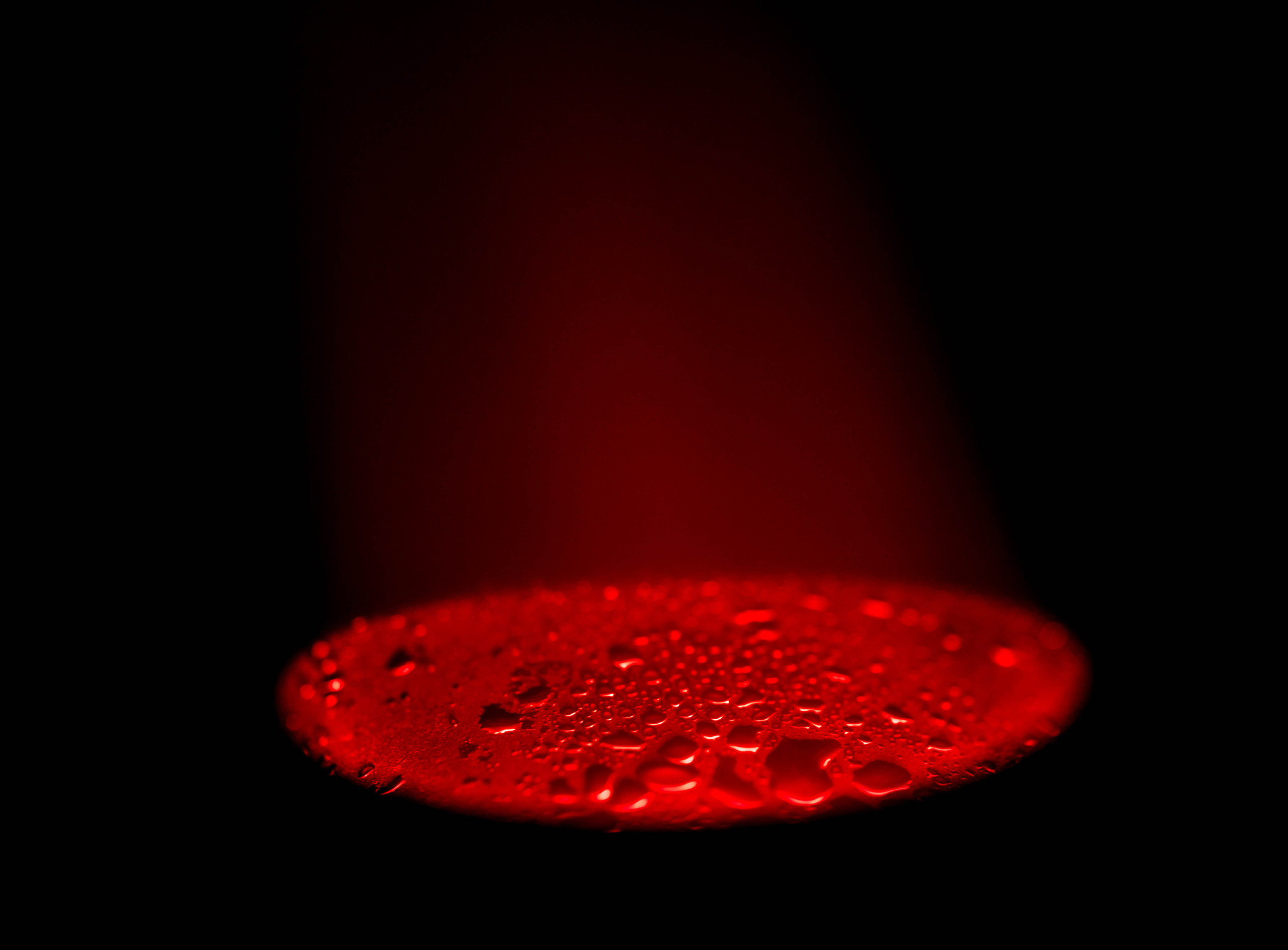 Sigma 105mm F2.8 EX DG OS HSM sample photo. Hot blood photography