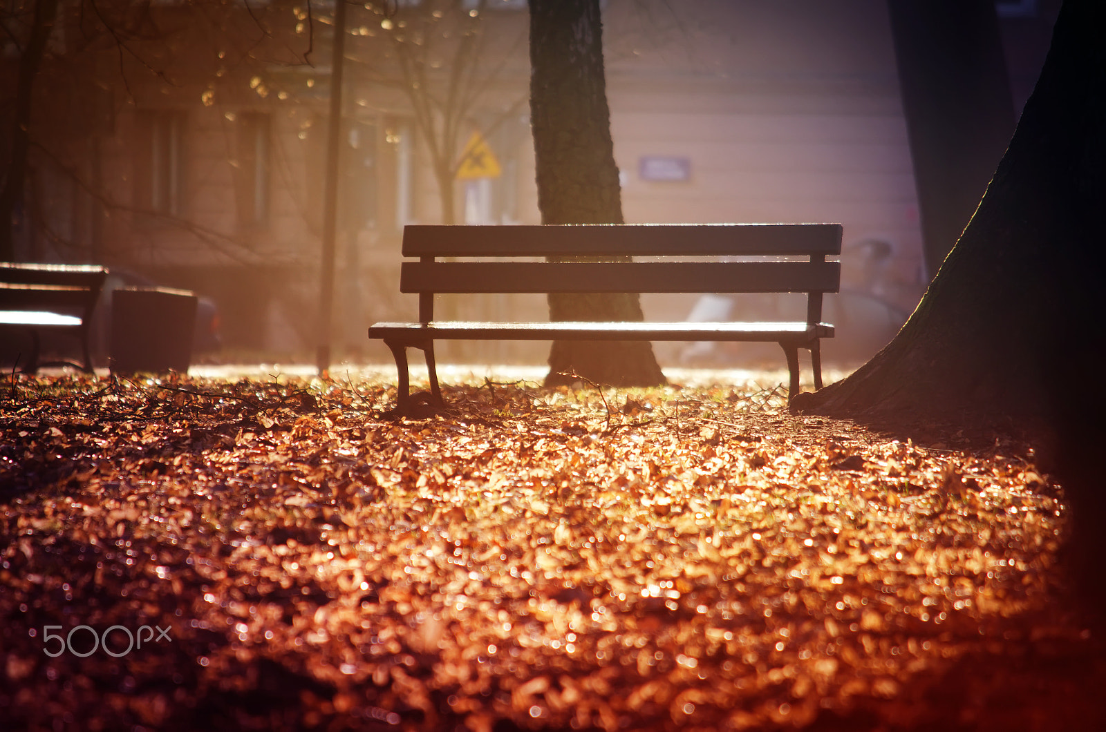 Nikon AF-S DX Micro Nikkor 40mm F2.8 sample photo. Lonely bench in the evening park photography