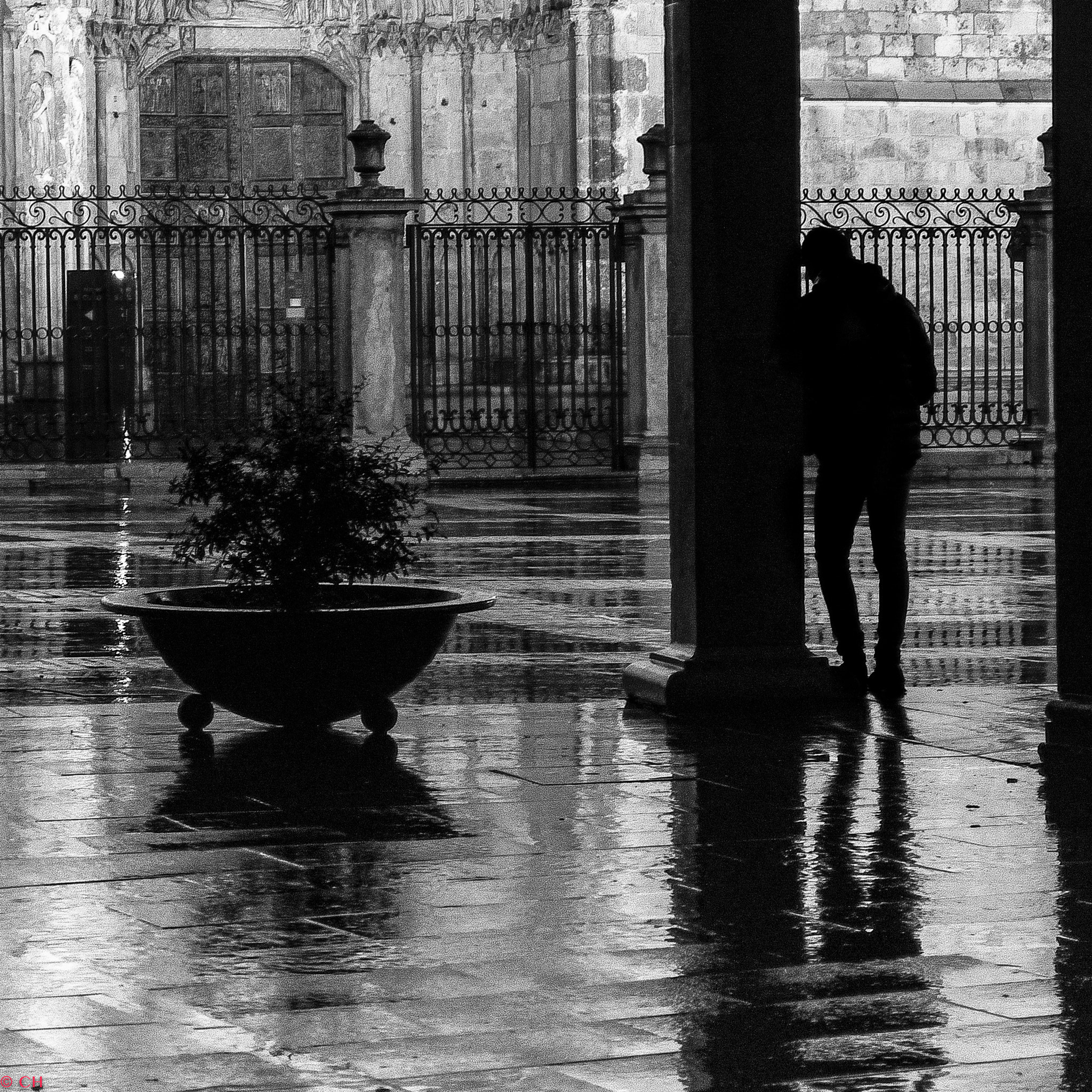 AF Zoom-Nikkor 28-80mm f/3.3-5.6G sample photo. Macetero y sombra photography