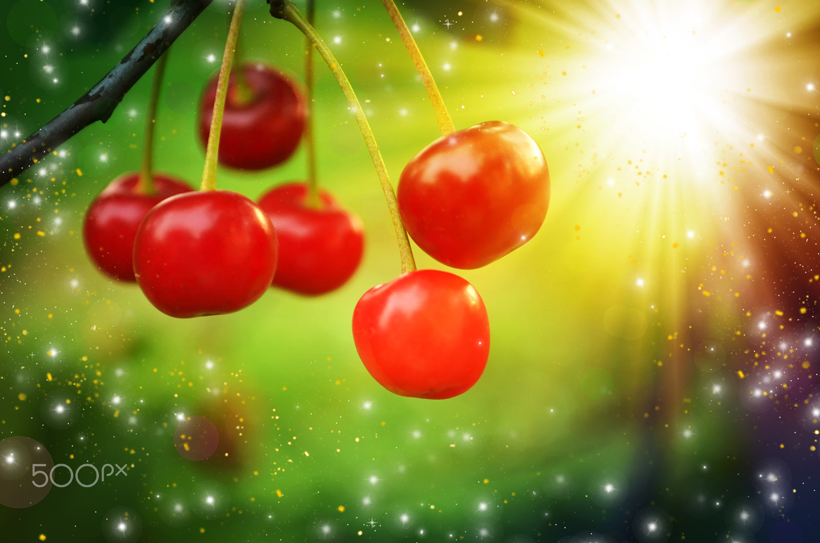 Nikon AF-S DX Micro Nikkor 40mm F2.8 sample photo. Branch with red cherries photography
