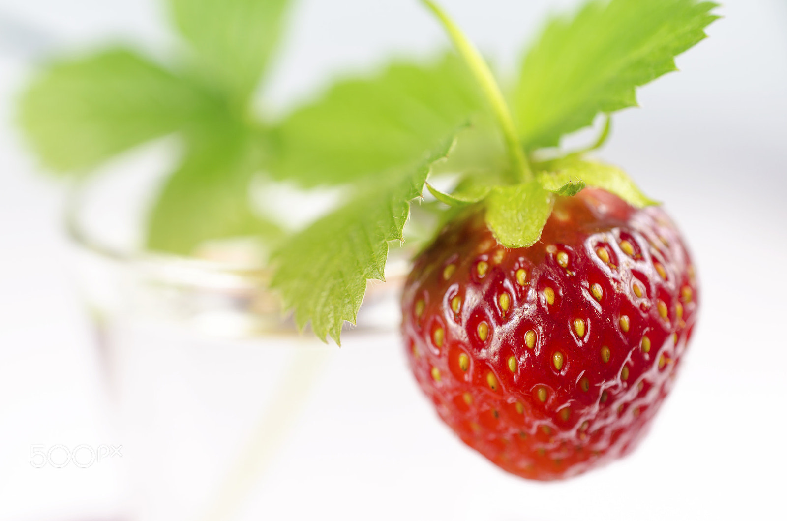Nikon AF-S DX Micro Nikkor 40mm F2.8 sample photo. Red strawberries on a white background photography