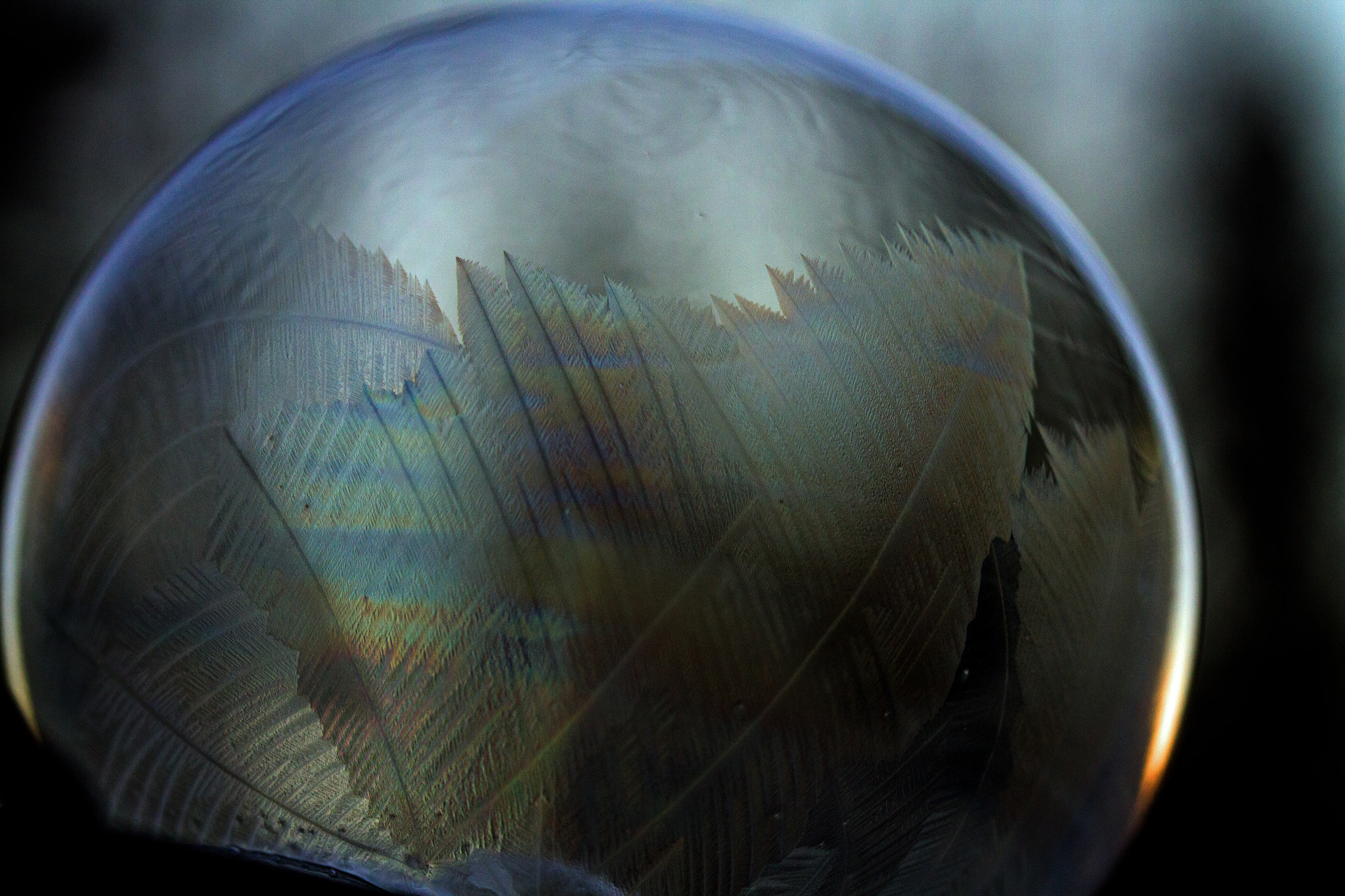 Canon EF-S 60mm F2.8 Macro USM sample photo. Mg photography