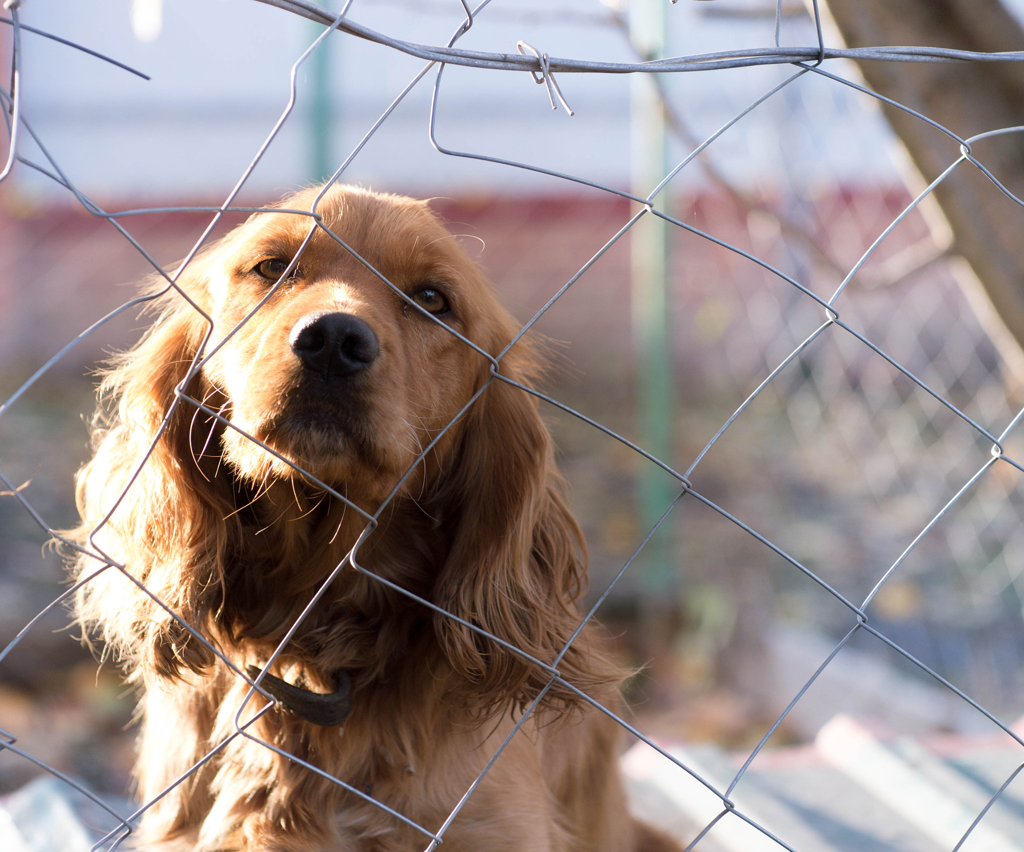 Panasonic Lumix DMC-GF6 + Sigma 60mm F2.8 DN Art sample photo. I'm watching you...human photography