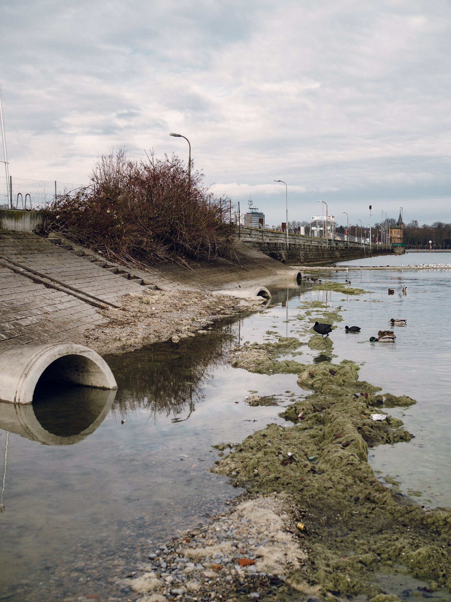 Olympus OM-D E-M5 II + Olympus M.Zuiko Digital 25mm F1.8 sample photo. The canals of constance photography