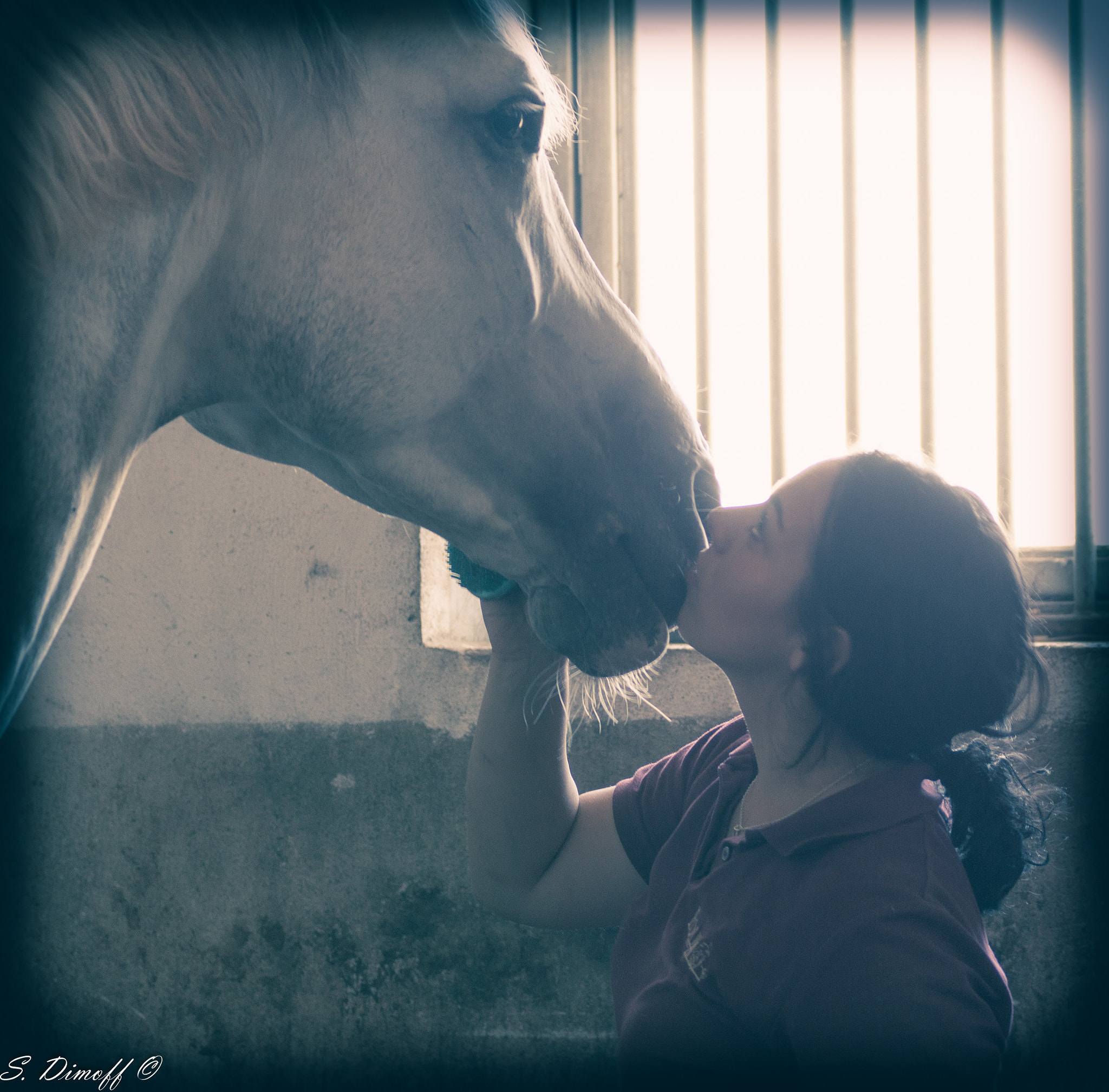 Sony SLT-A58 + Tamron SP 70-300mm F4-5.6 Di USD sample photo. Horse addicted photography