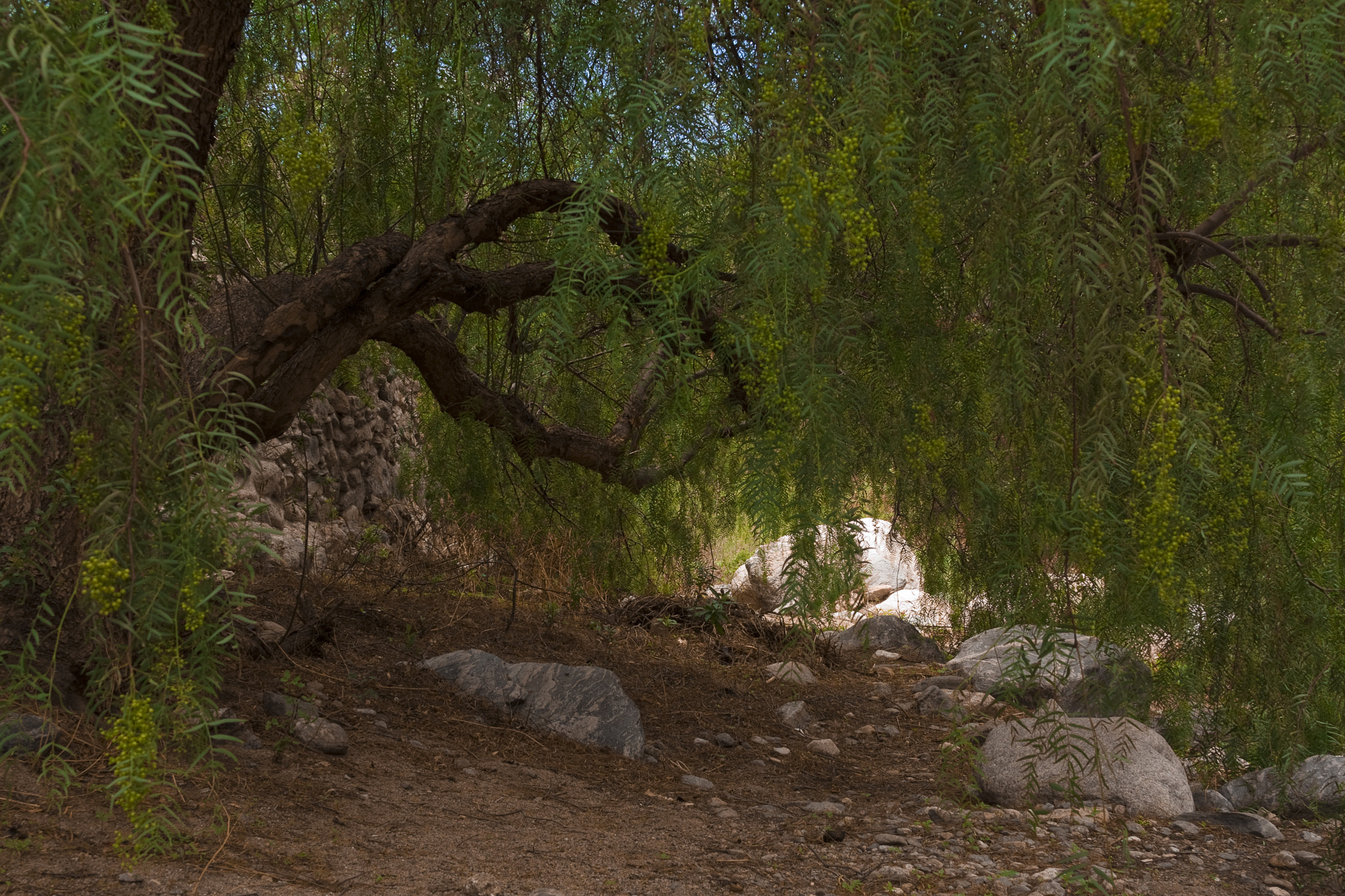 Canon EF 28-135mm F3.5-5.6 IS USM sample photo. Capilla del monte vll photography
