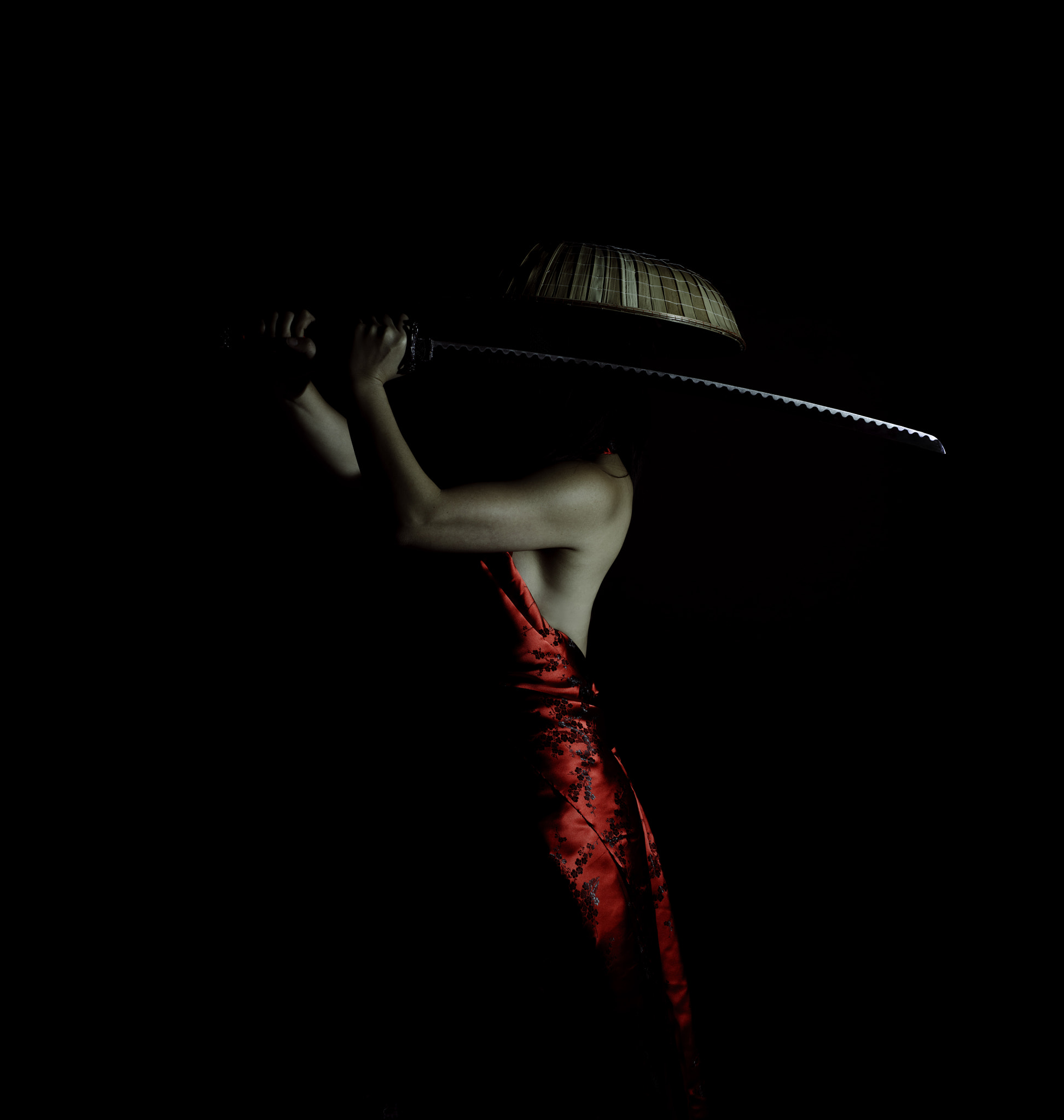 Sigma 50mm F1.4 EX DG HSM sample photo. Ronin photography