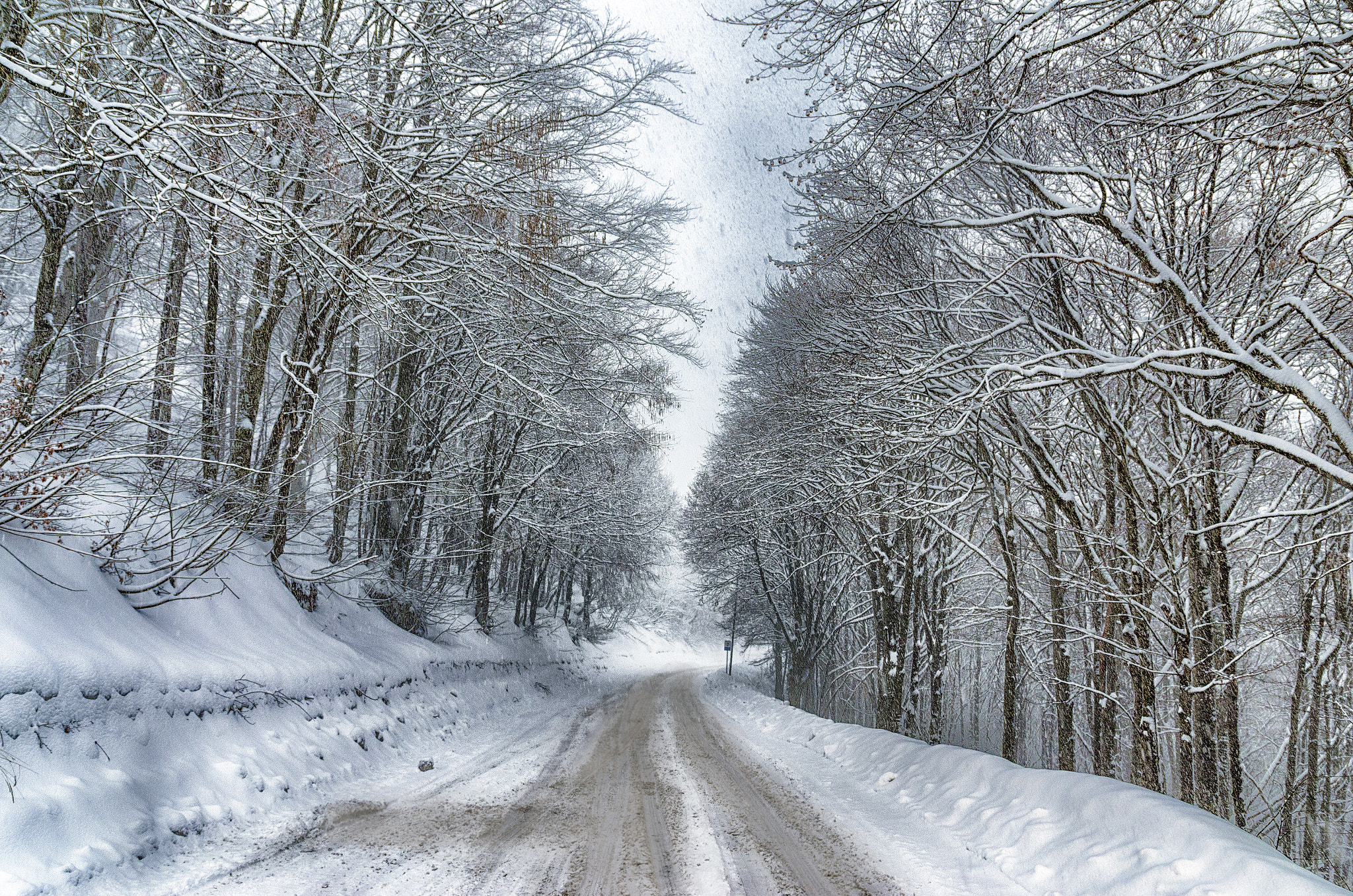 Sigma 17-70mm F2.8-4 DC Macro OS HSM | C sample photo. Snowing photography