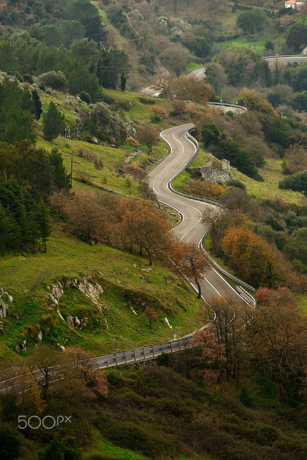 Nikon D800 sample photo. Road photography