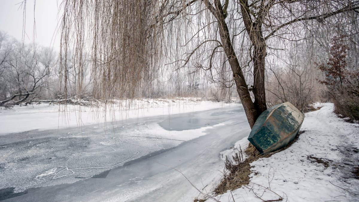 Canon EF 17-35mm f/2.8L sample photo. Under shade of willow tree photography