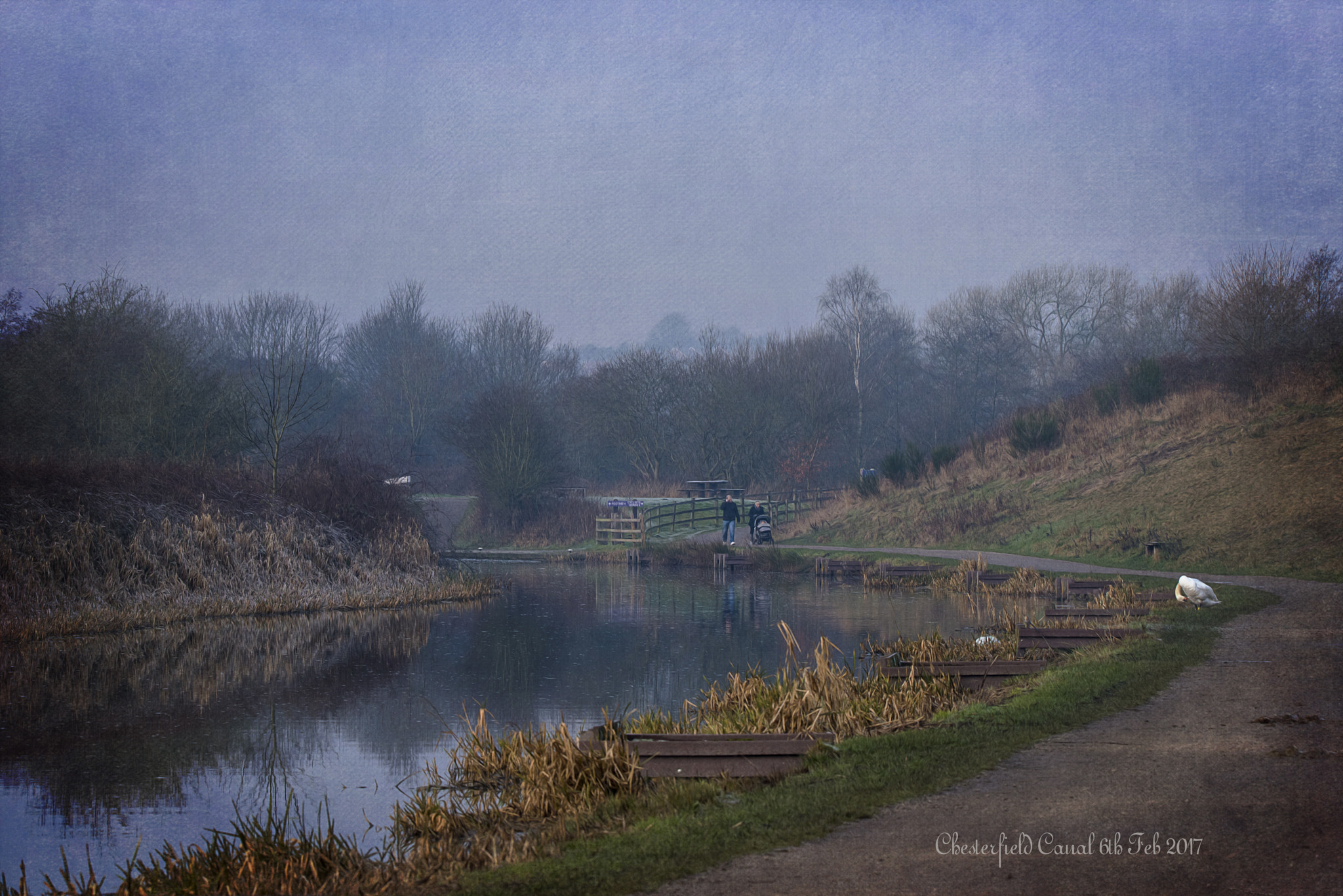 Sigma 150-600mm F5-6.3 DG OS HSM | C sample photo. Chesterfield canal photography