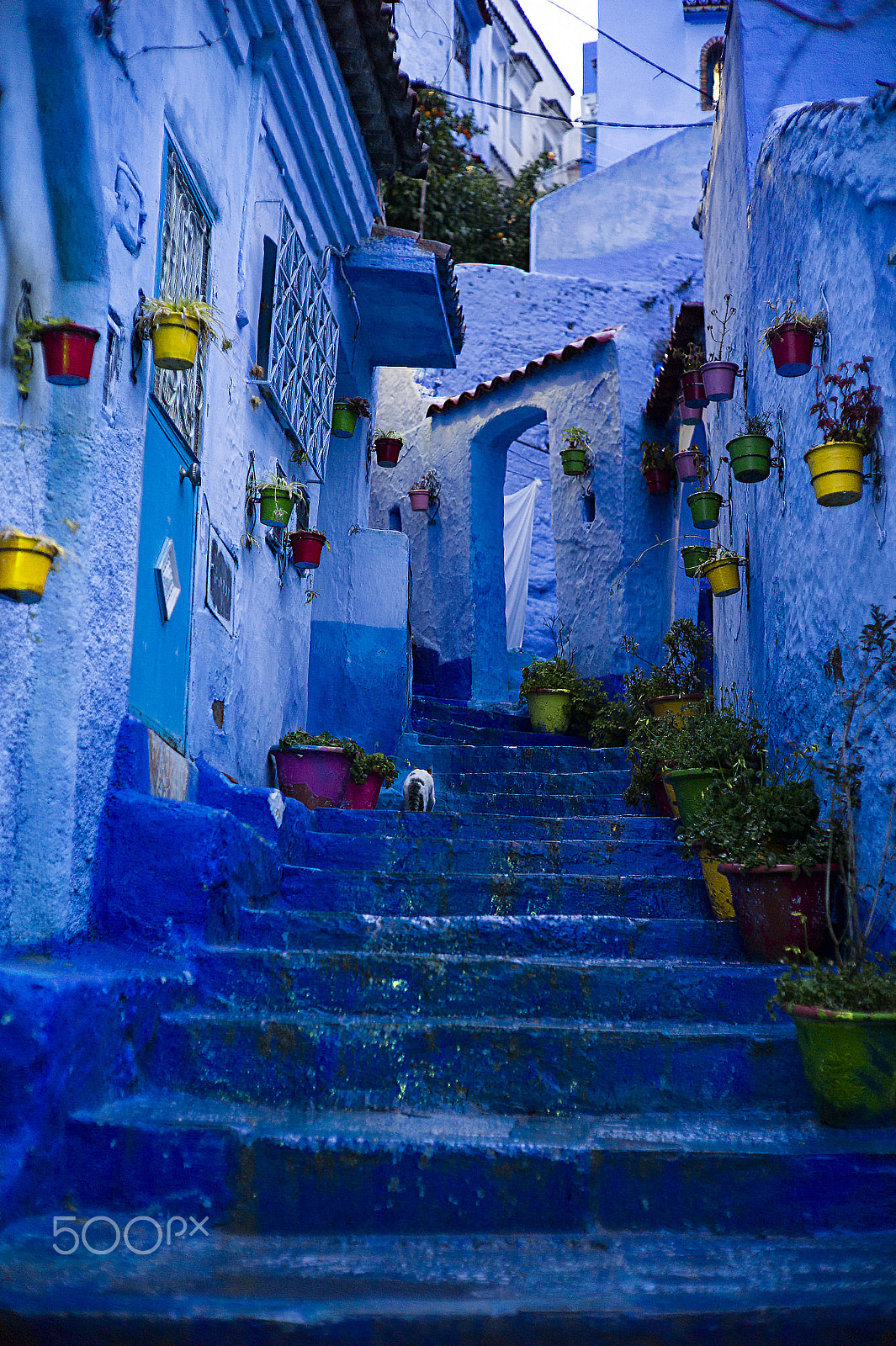 Leica M9 + Noctilux-M 50mm f/1 sample photo. Blue streets photography