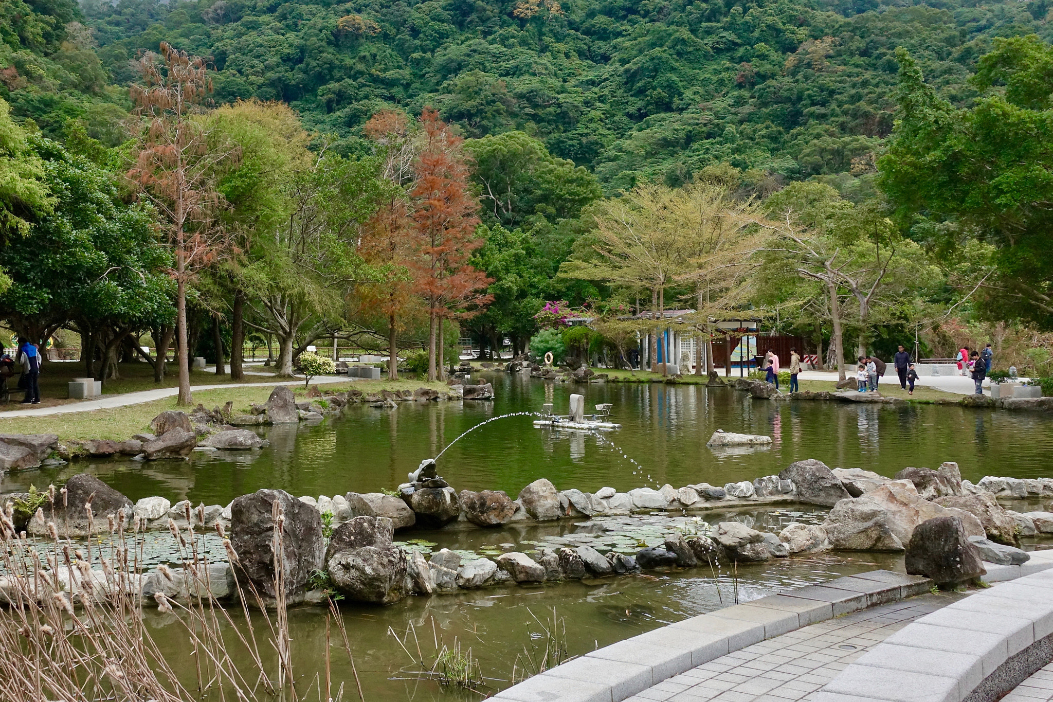 Sony DSC-RX100M5 + Sony 24-70mm F1.8-2.8 sample photo. Frog fountain photography