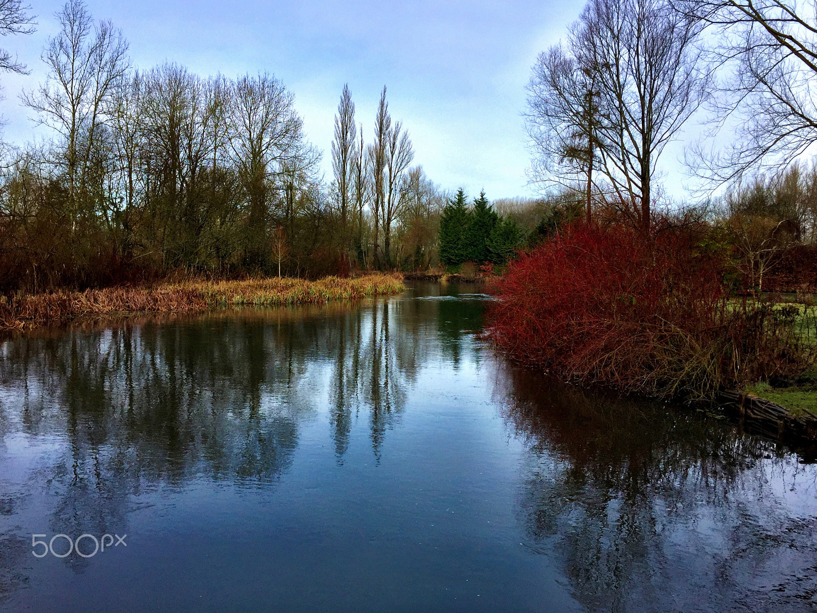 Apple iPhone + iPhone 6 back camera 4.15mm f/2.2 sample photo. Looking along the river photography