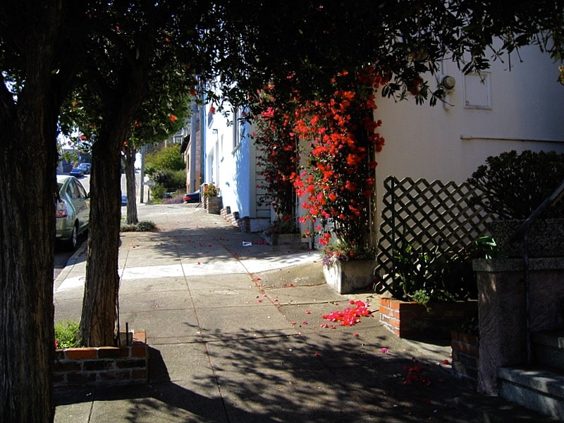 Canon POWERSHOT SD850 IS sample photo. Bougainvillea, douglass street, san francisco, california 2007 photography