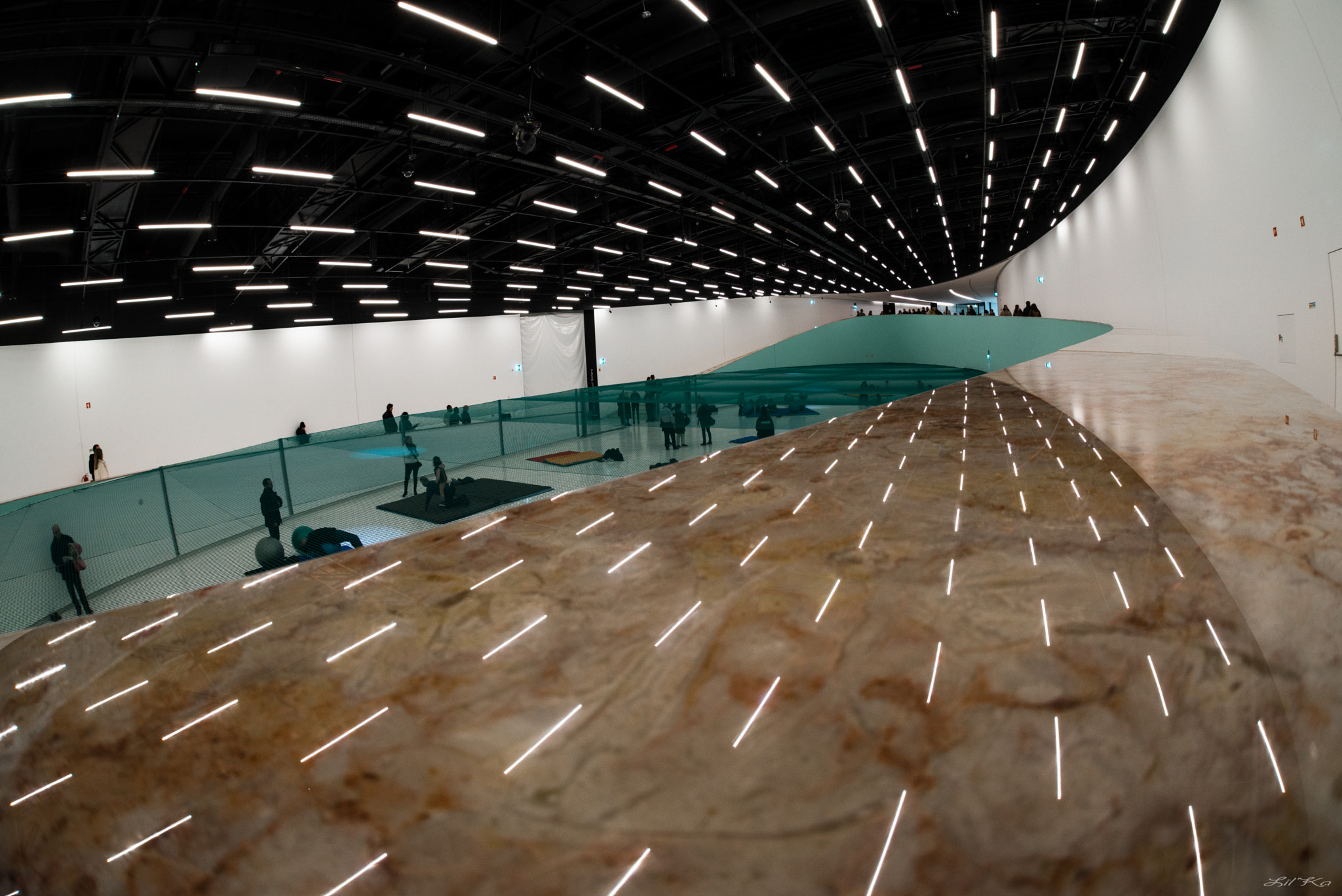 Nikon D610 + Sigma 15mm F2.8 EX DG Diagonal Fisheye sample photo. Maat photography