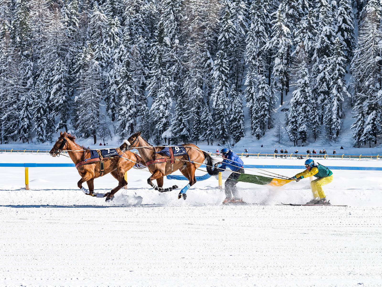 Panasonic Lumix DMC-GX7 sample photo. Coming soon ...white turf, st. moritz, switzerland photography