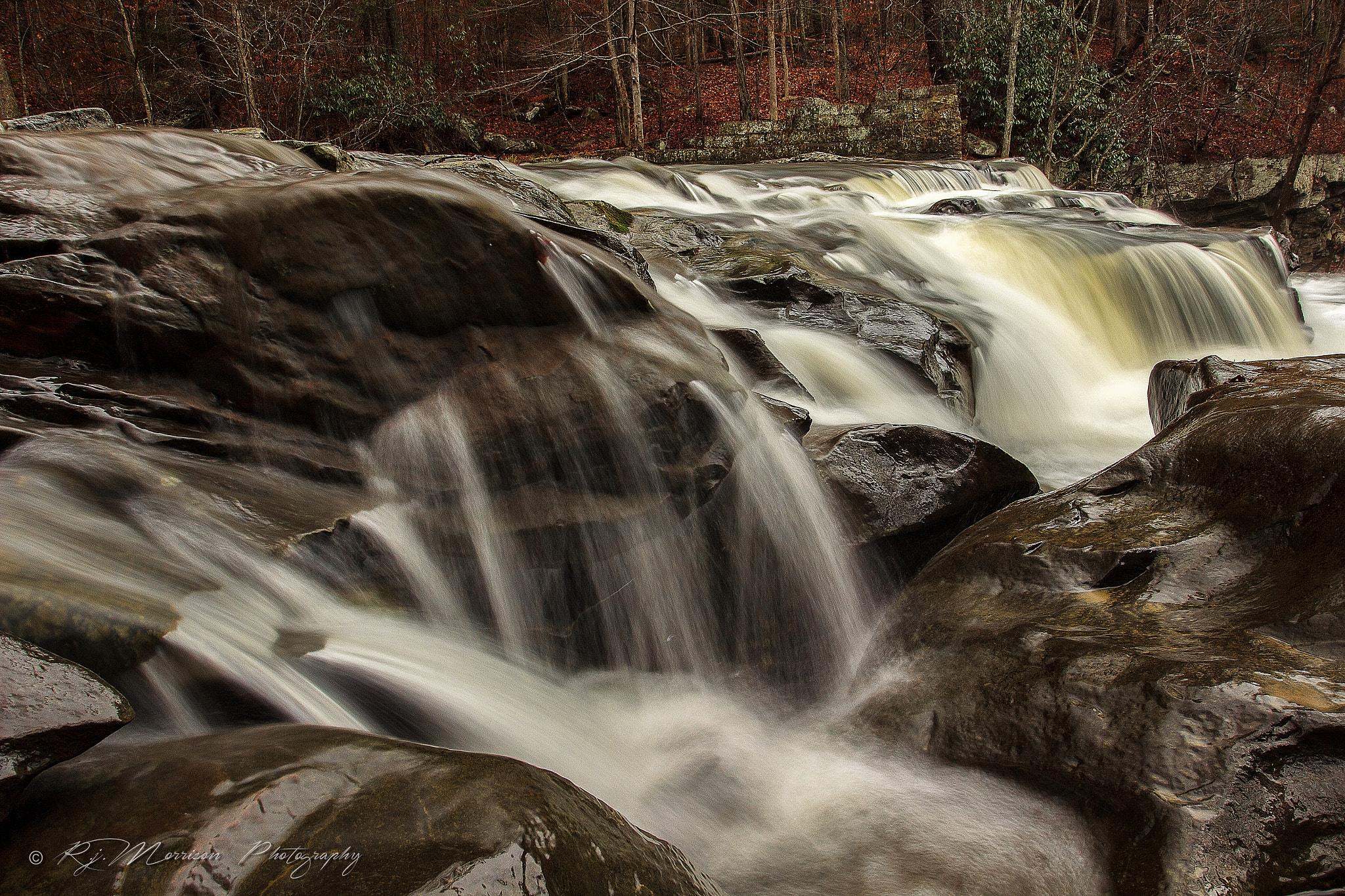 Canon EOS 600D (Rebel EOS T3i / EOS Kiss X5) + Canon EF 17-40mm F4L USM sample photo. Brush creek photography