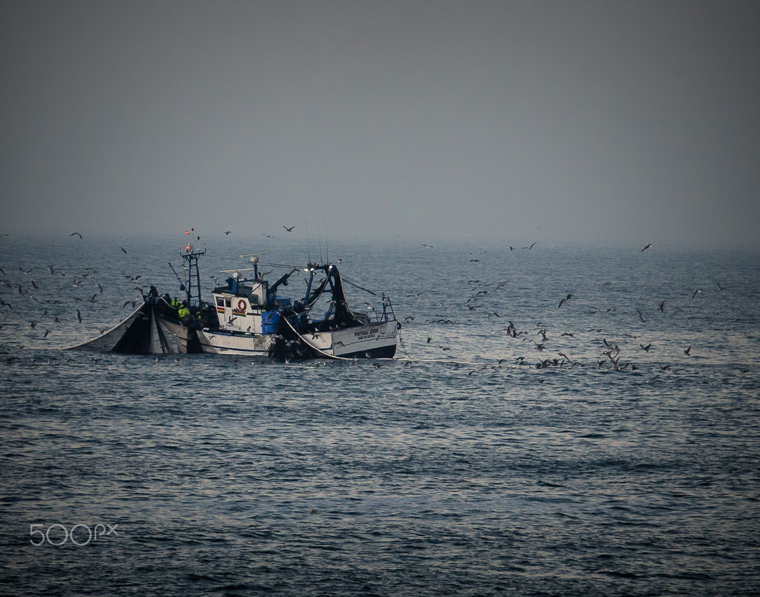 Nikon AF-S Nikkor 70-200mm F2.8G ED VR II sample photo. Fishing photography
