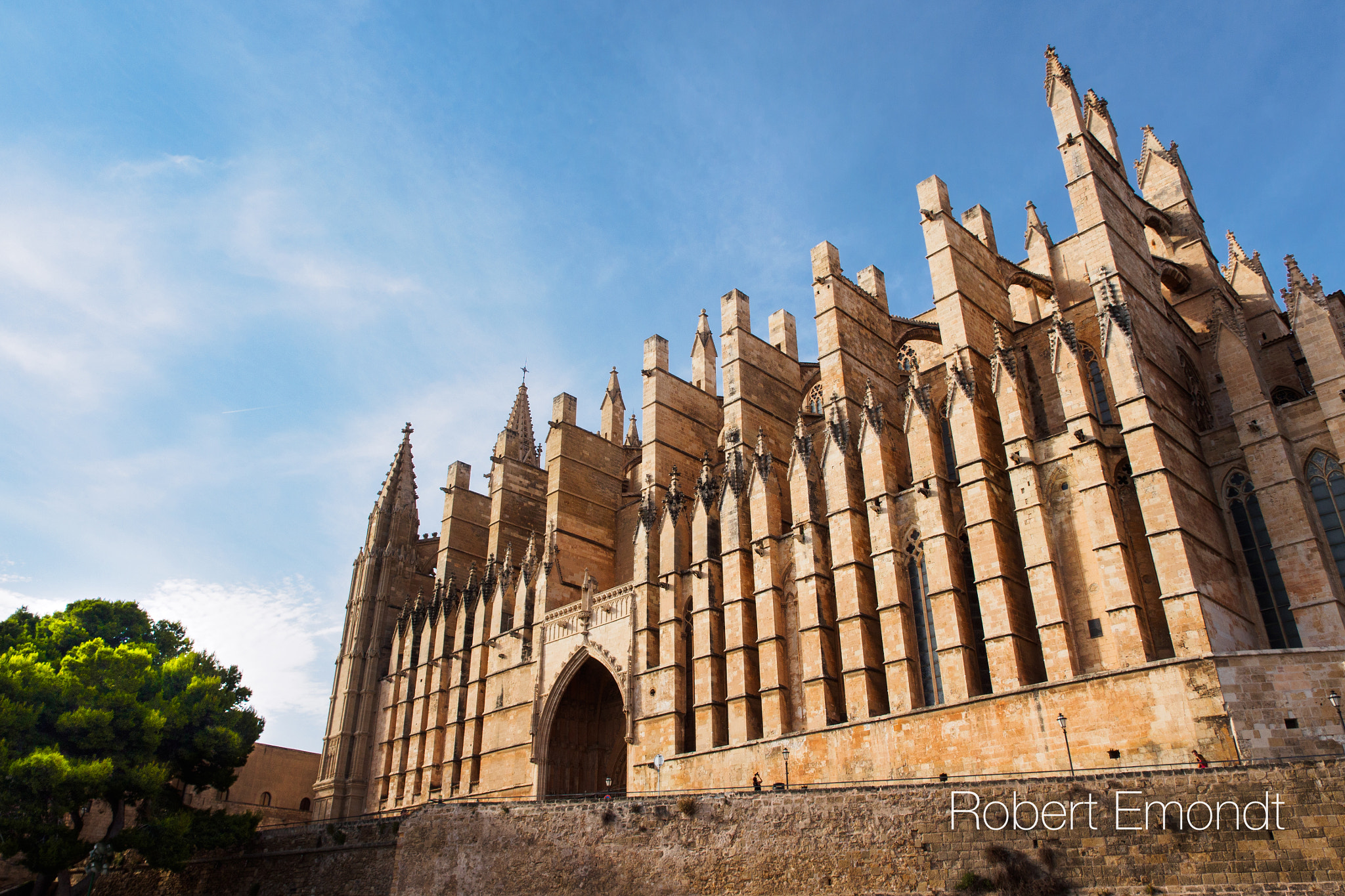 Olympus OM-D E-M10 sample photo. Palma catedral from south photography