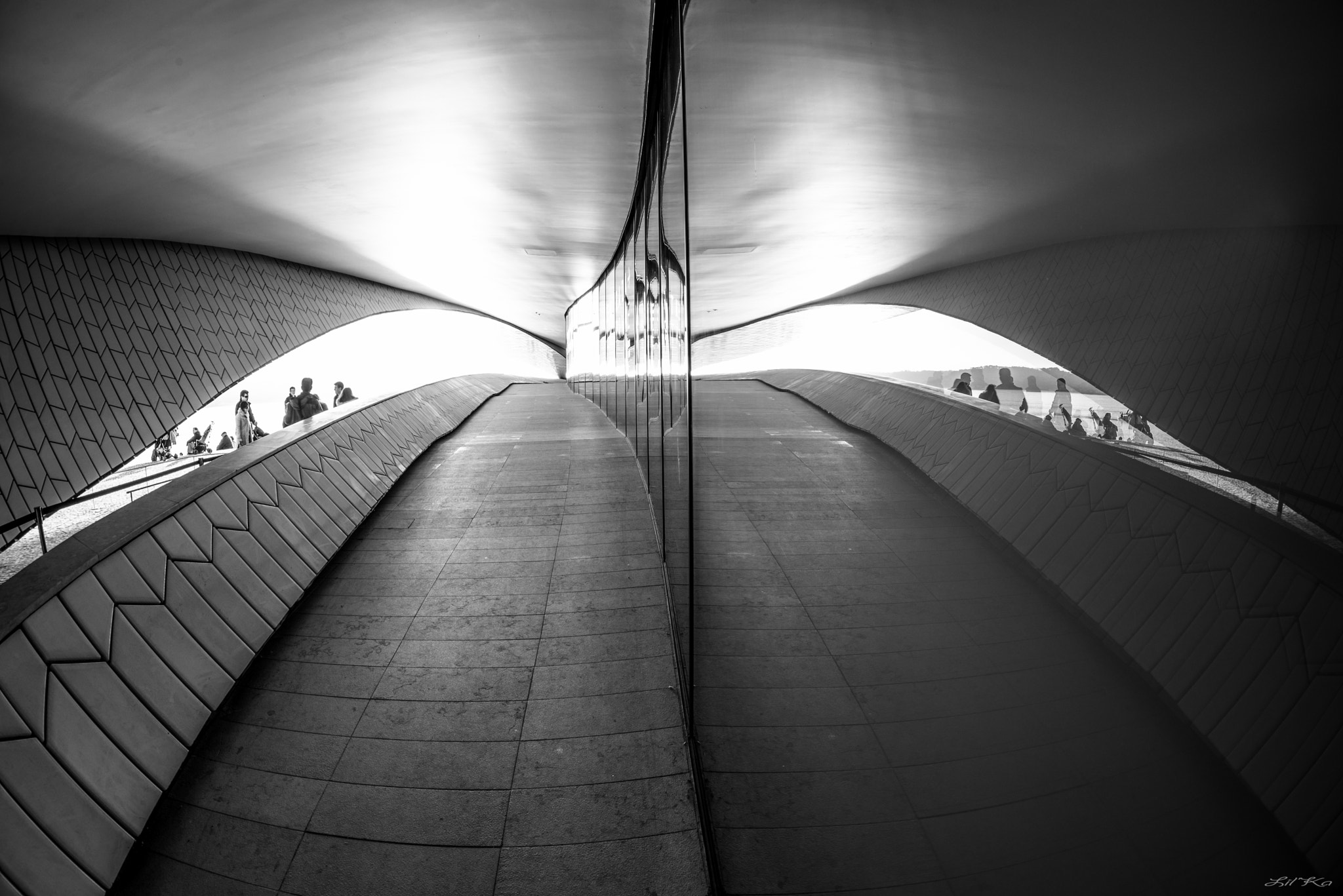 Nikon D610 + Sigma 15mm F2.8 EX DG Diagonal Fisheye sample photo. Maat photography