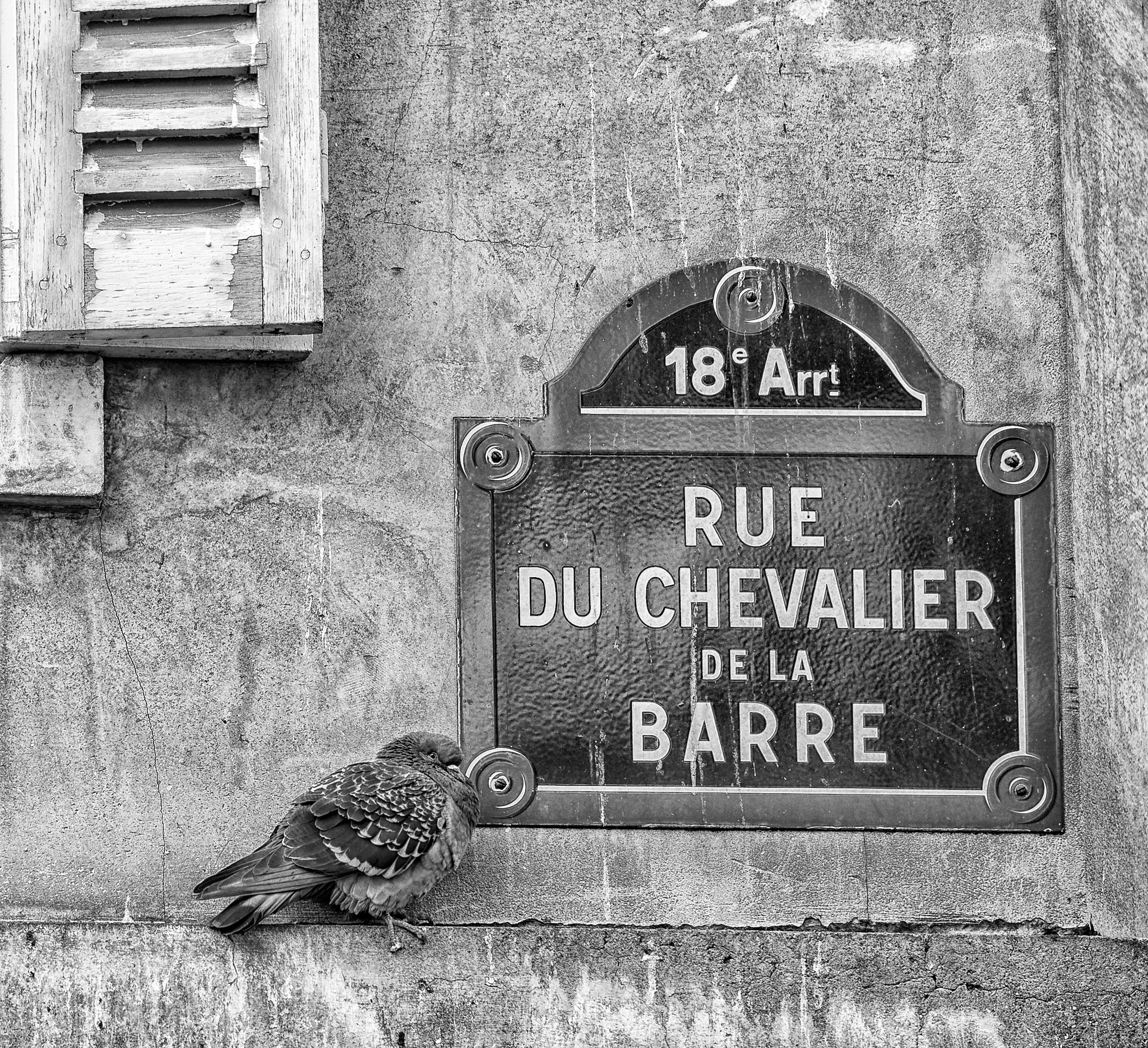 Nikon D600 sample photo. Montmartre-paris photography