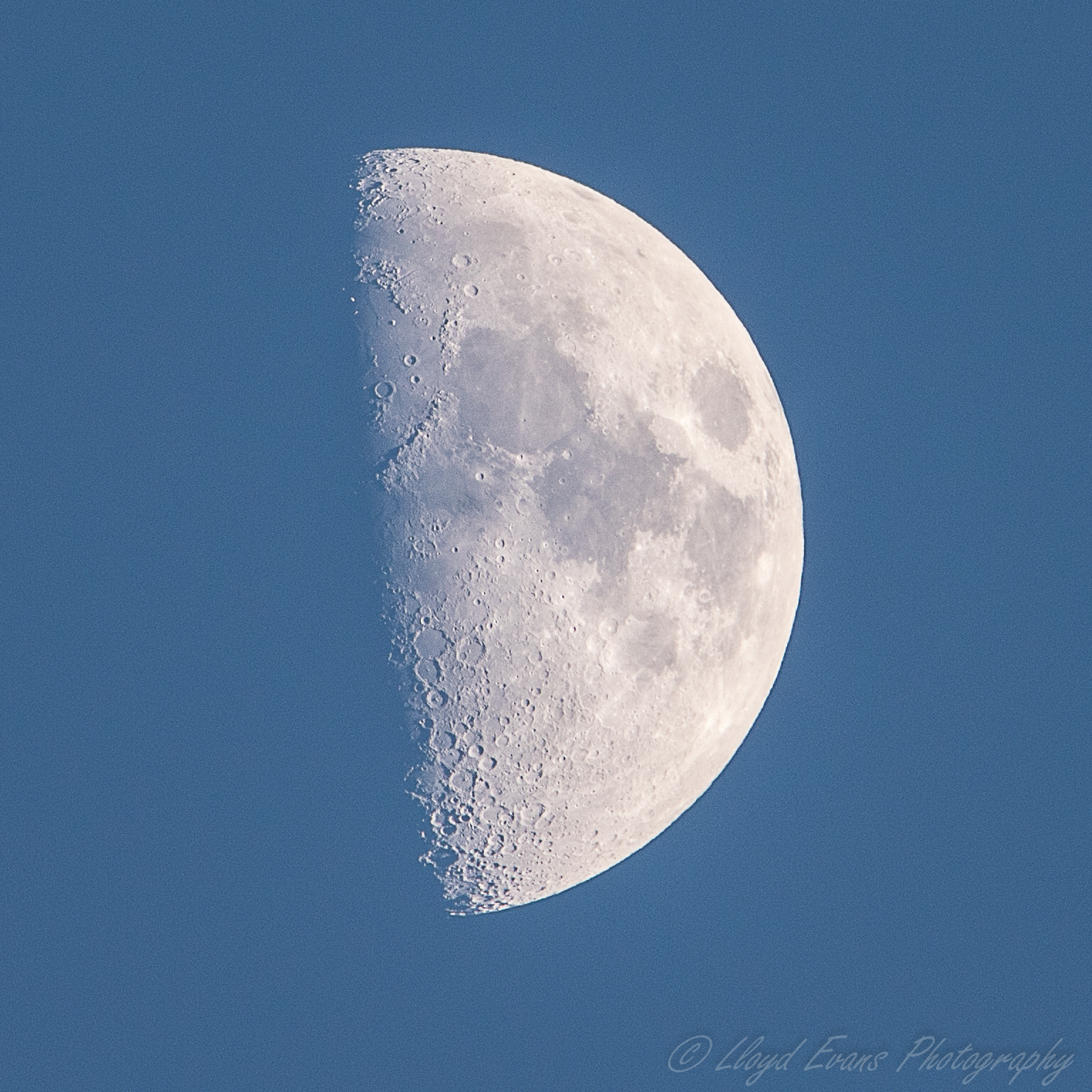 Sigma 150-500mm F5-6.3 DG OS HSM sample photo. Blue photography