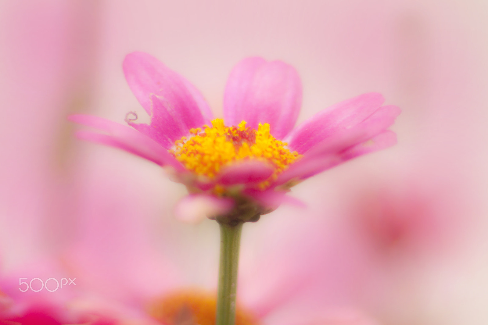 Canon EF 35-80mm f/4-5.6 sample photo. One photography