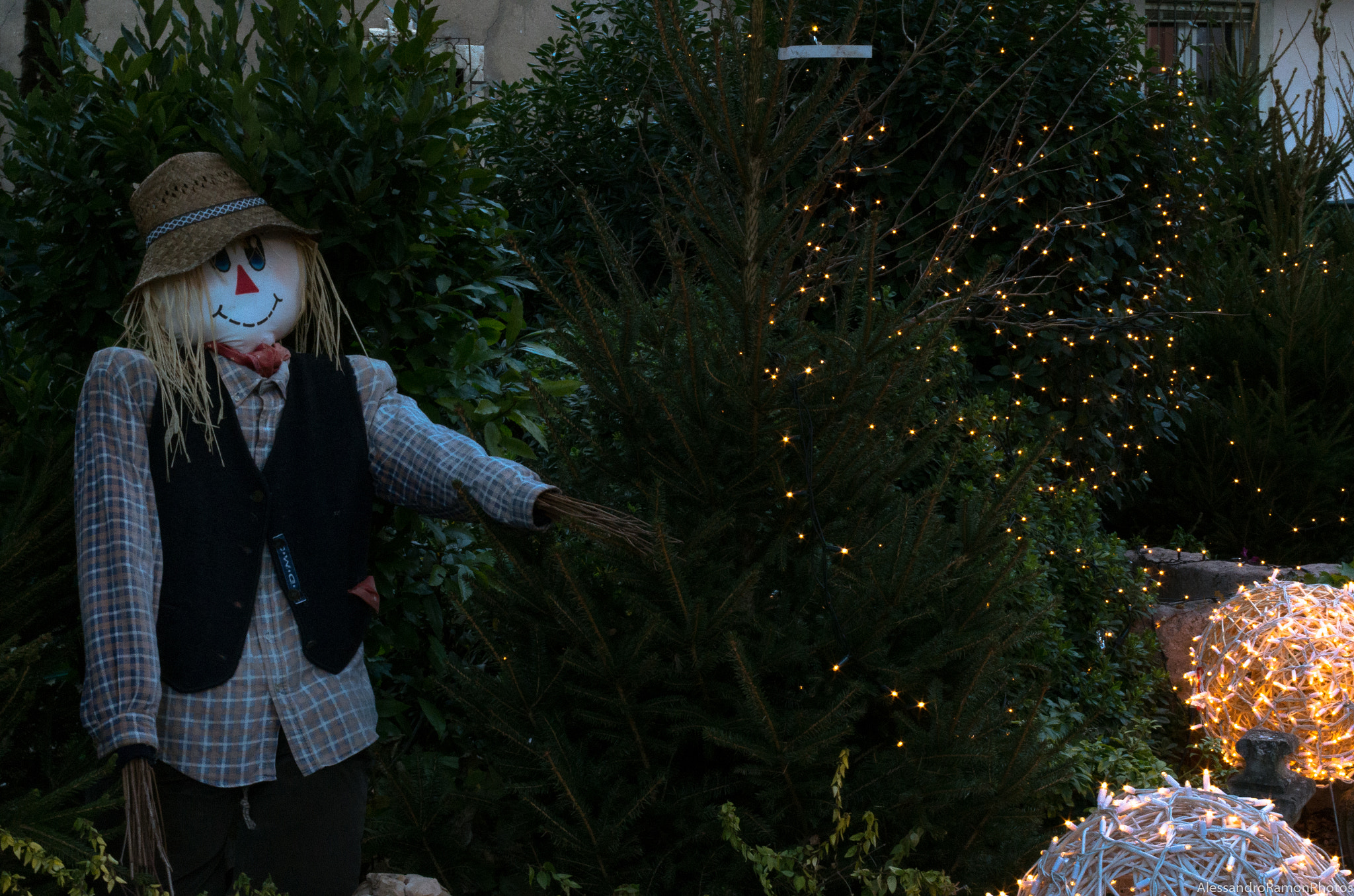 Pentax K-30 + Pentax smc DA 35mm F2.4 AL sample photo. X-mas in rovereto photography