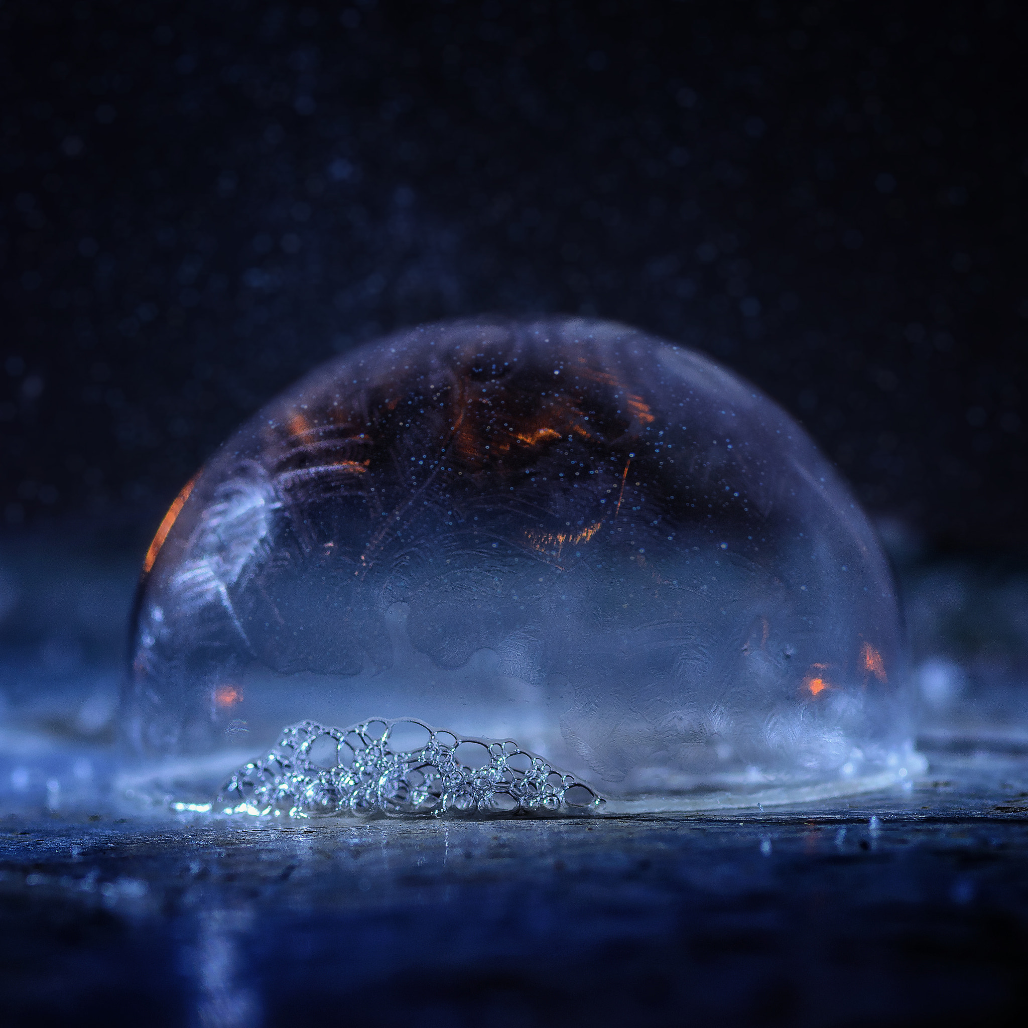 Tokina AT-X Pro 100mm F2.8 Macro sample photo. Under the dome photography