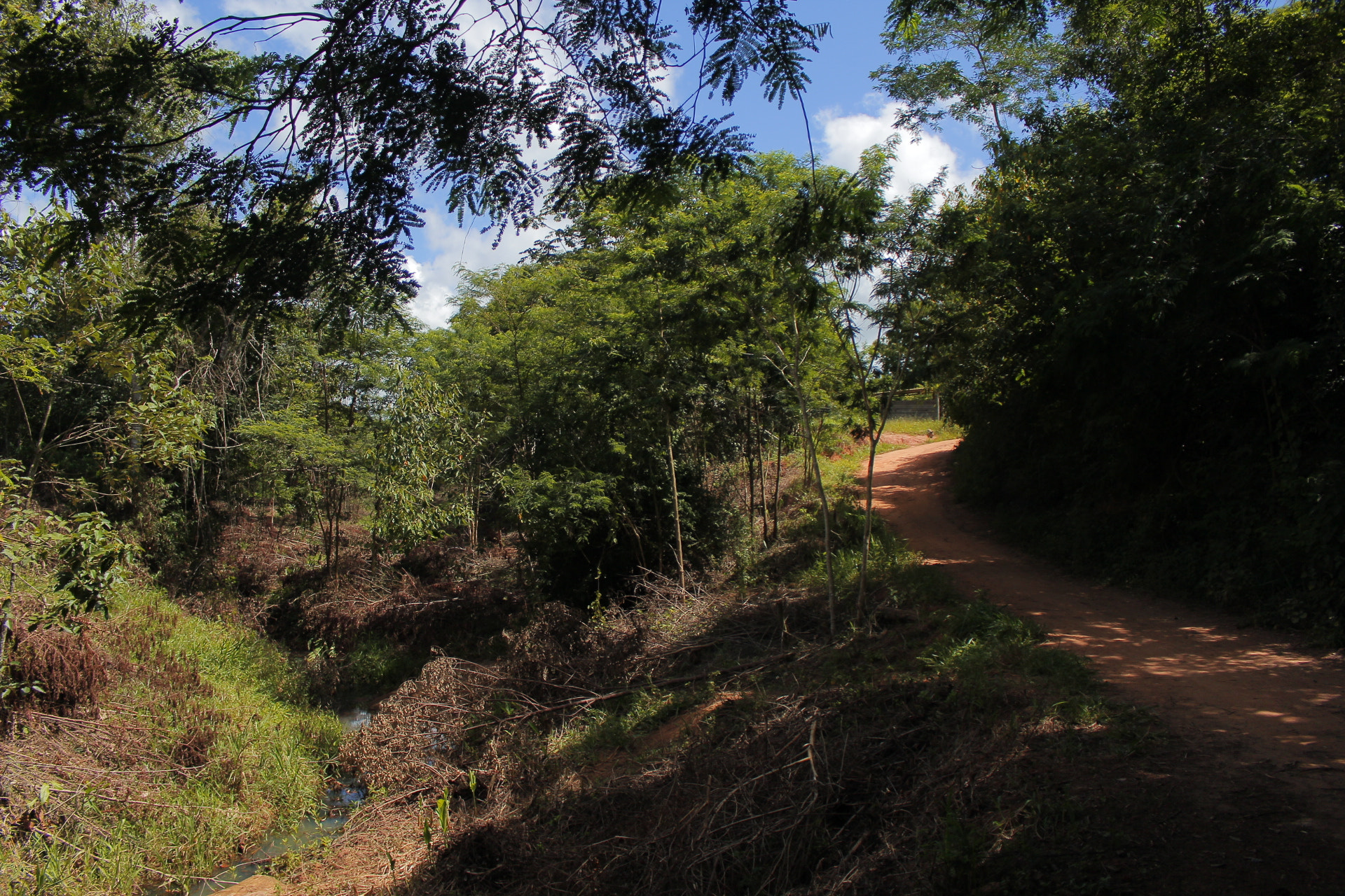 Canon EOS 1200D (EOS Rebel T5 / EOS Kiss X70 / EOS Hi) + Canon EF-S 18-55mm F3.5-5.6 IS STM sample photo. São sebastião do maranhão - minas gerais photography