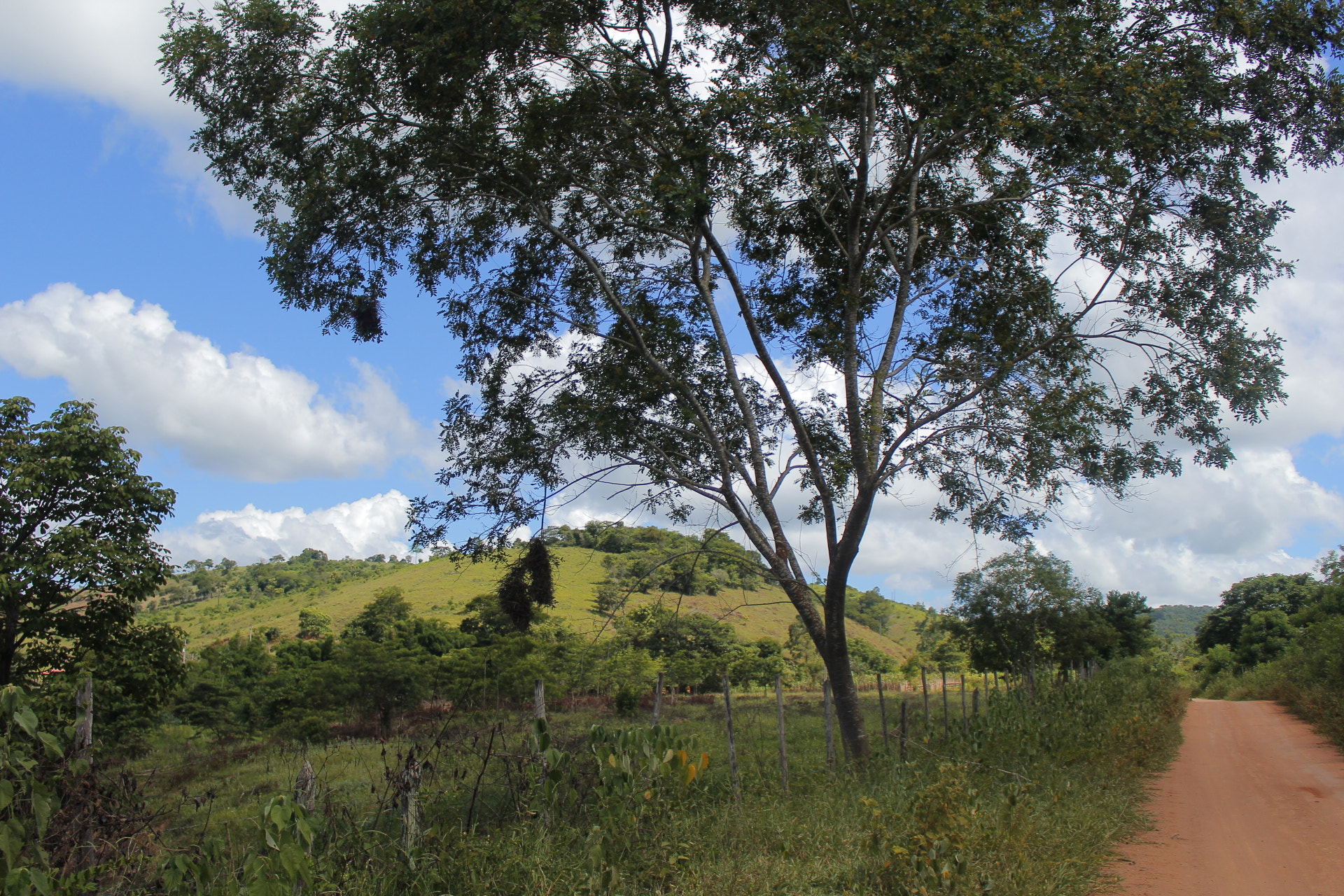 Canon EOS 1200D (EOS Rebel T5 / EOS Kiss X70 / EOS Hi) + Canon EF-S 18-55mm F3.5-5.6 IS STM sample photo. São sebastião do maranhão - minas gerais photography