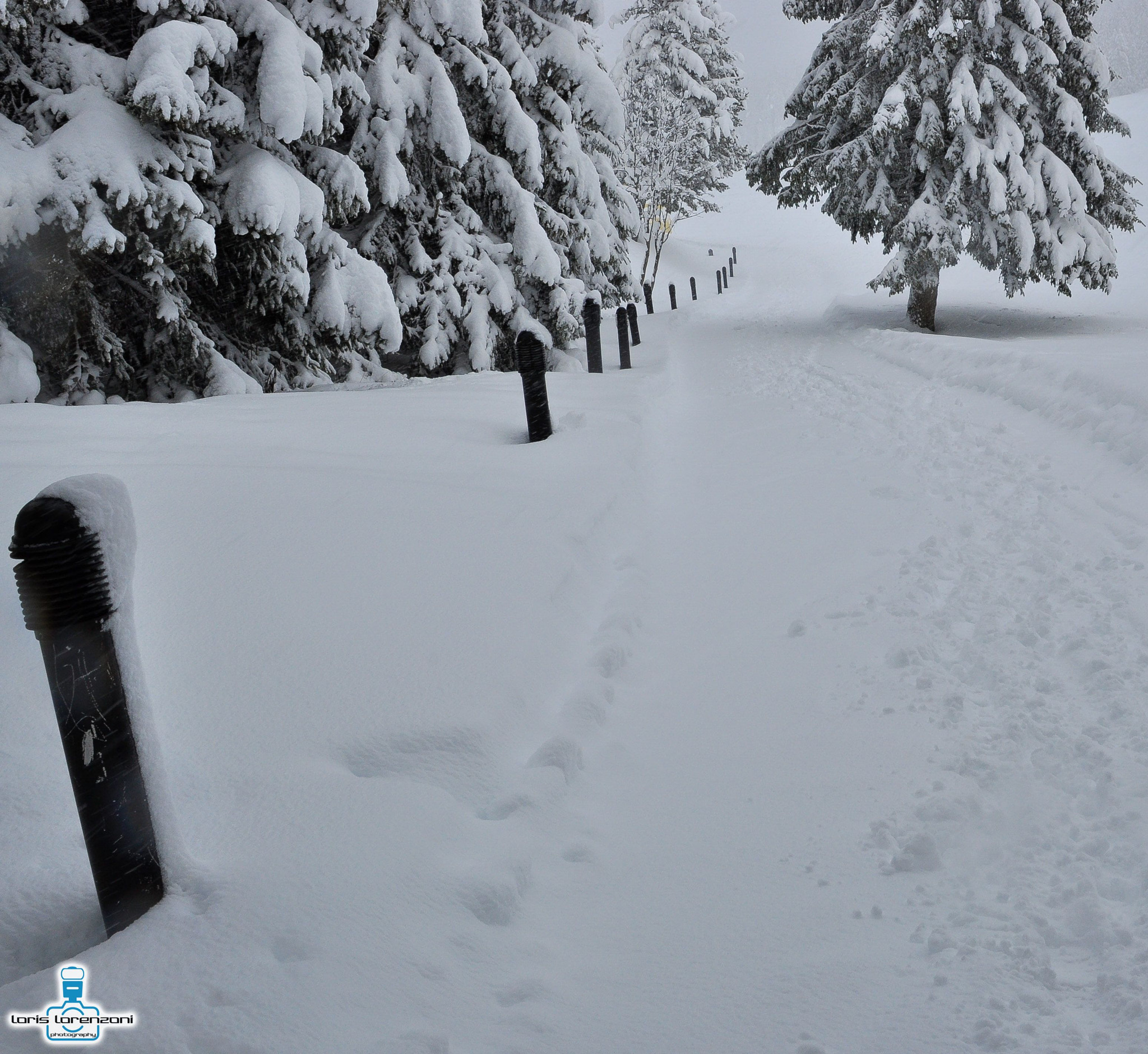 Sigma 24-70mm F2.8 EX DG HSM sample photo. Snowy photography