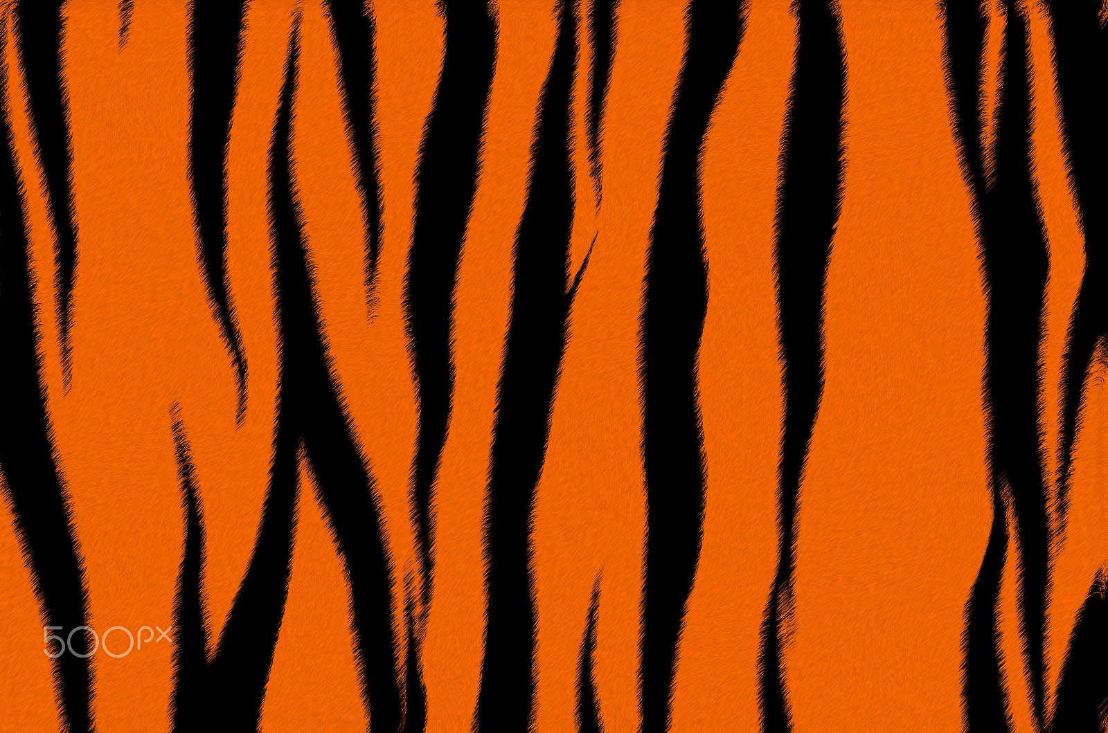 Nikon AF-S Nikkor 500mm F4D ED-IF II sample photo. Tiger fur photography